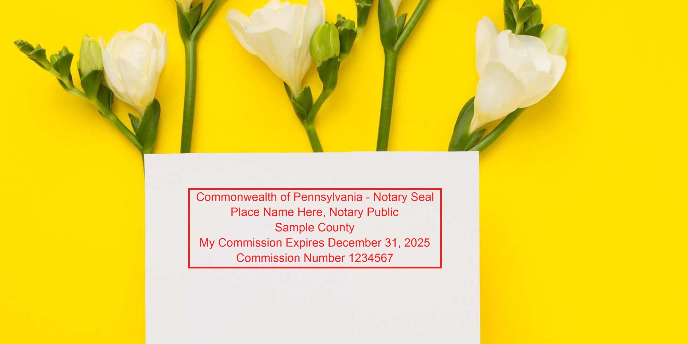 White card showing a red Pennsylvania notary seal stamp mockup with commission details, paired with three white freesia flowers on a bright yellow background.