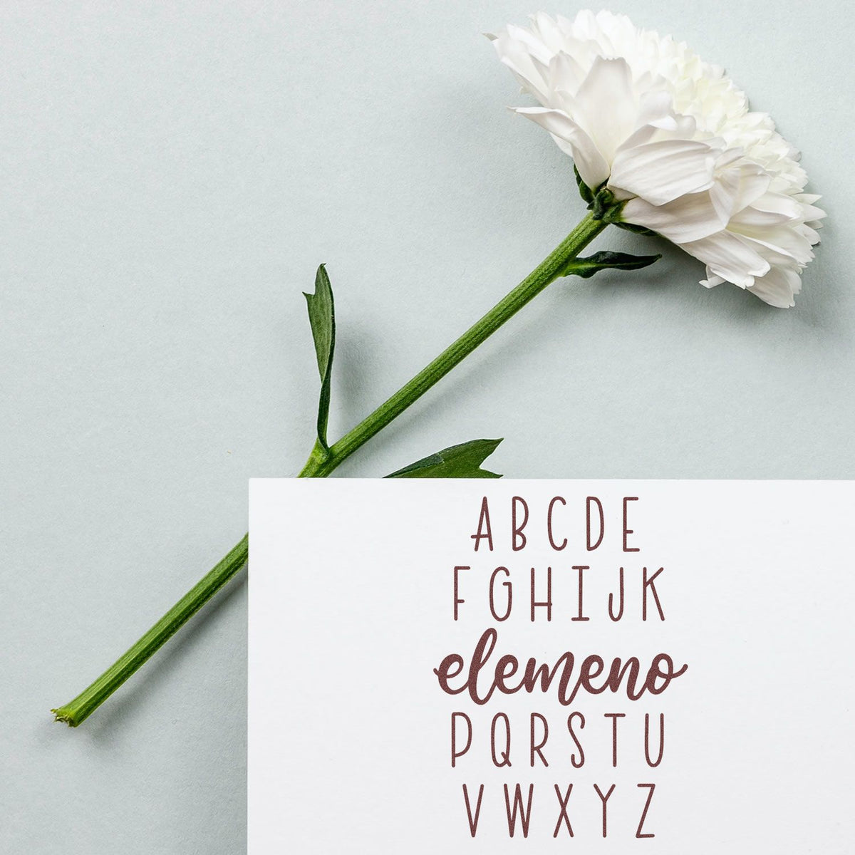 White flower beside alphabet stamp and seal card with maroon lettering on a pale gray background.