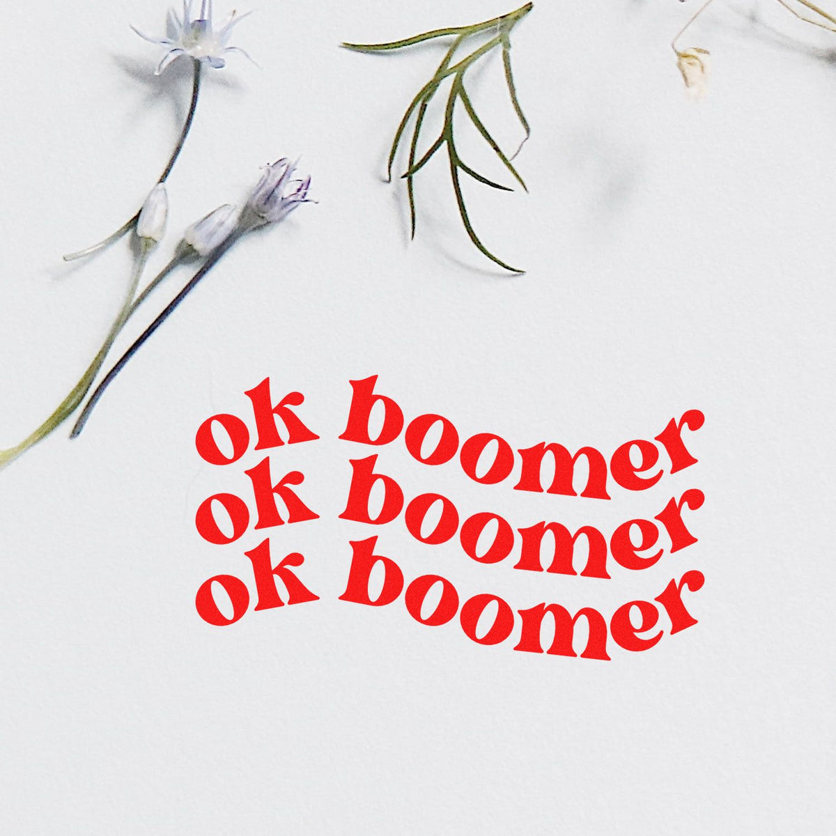 Red "ok boomer" stamp and seal with delicate floral stems on white background.