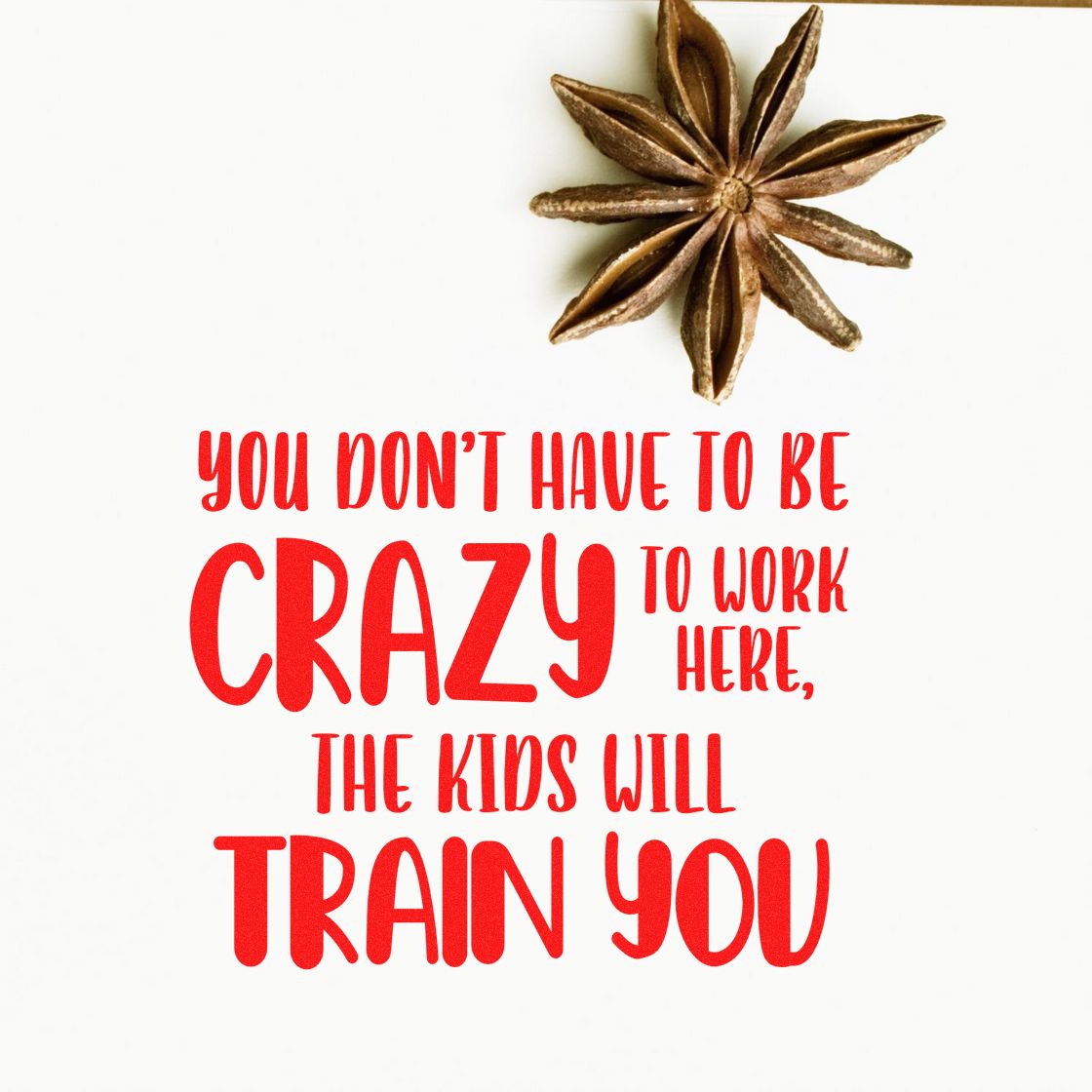 Decorative stamp seal with brown star anise and bold red quote on white: You dont have to be crazythe kids will train you.
