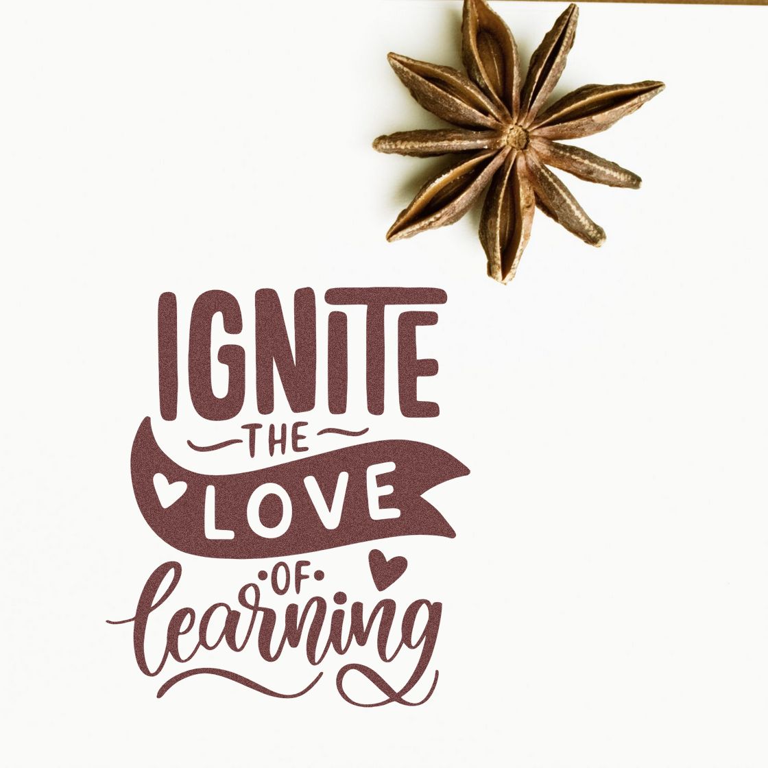 Brown stamp and seal reading Ignite the love of learning with star anise accents on a white background.