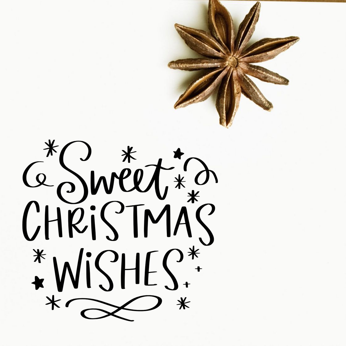 Black Sweet Christmas Wishes holiday stamp with star accents and a brown star anise seal on a white background.