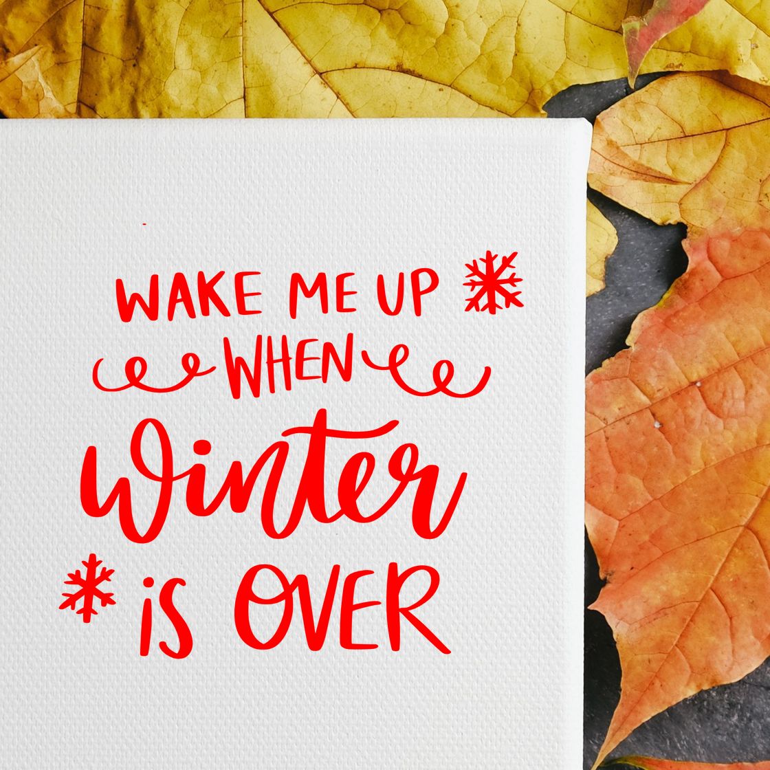 Red stamp and seal saying Wake me up when winter is over on white textured paper, with snowflakes and yellow-orange leaves.