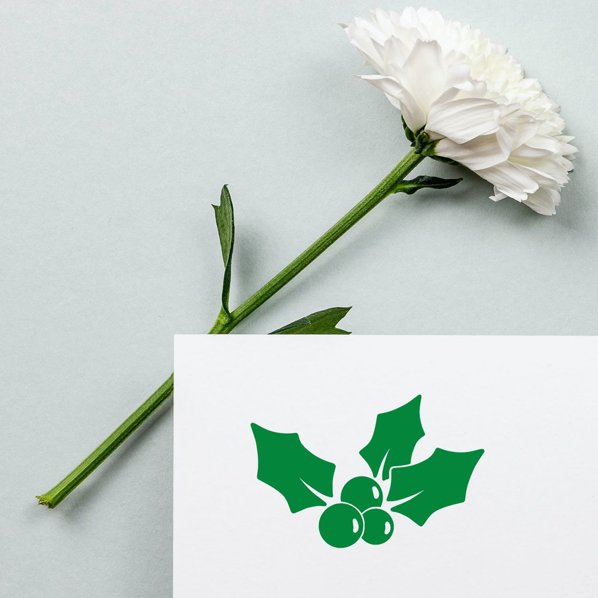 White flower with green stem beside a white card featuring a green holly berry stamp and seal logo.