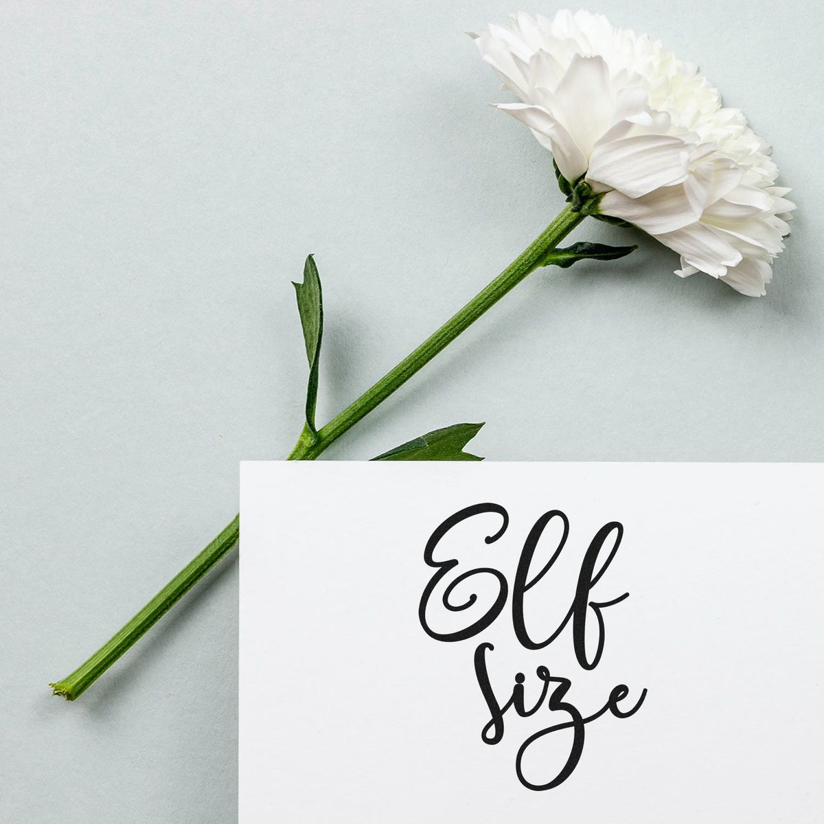 White carnation with green stem beside a black Elf size custom stamp and seal on white paper
