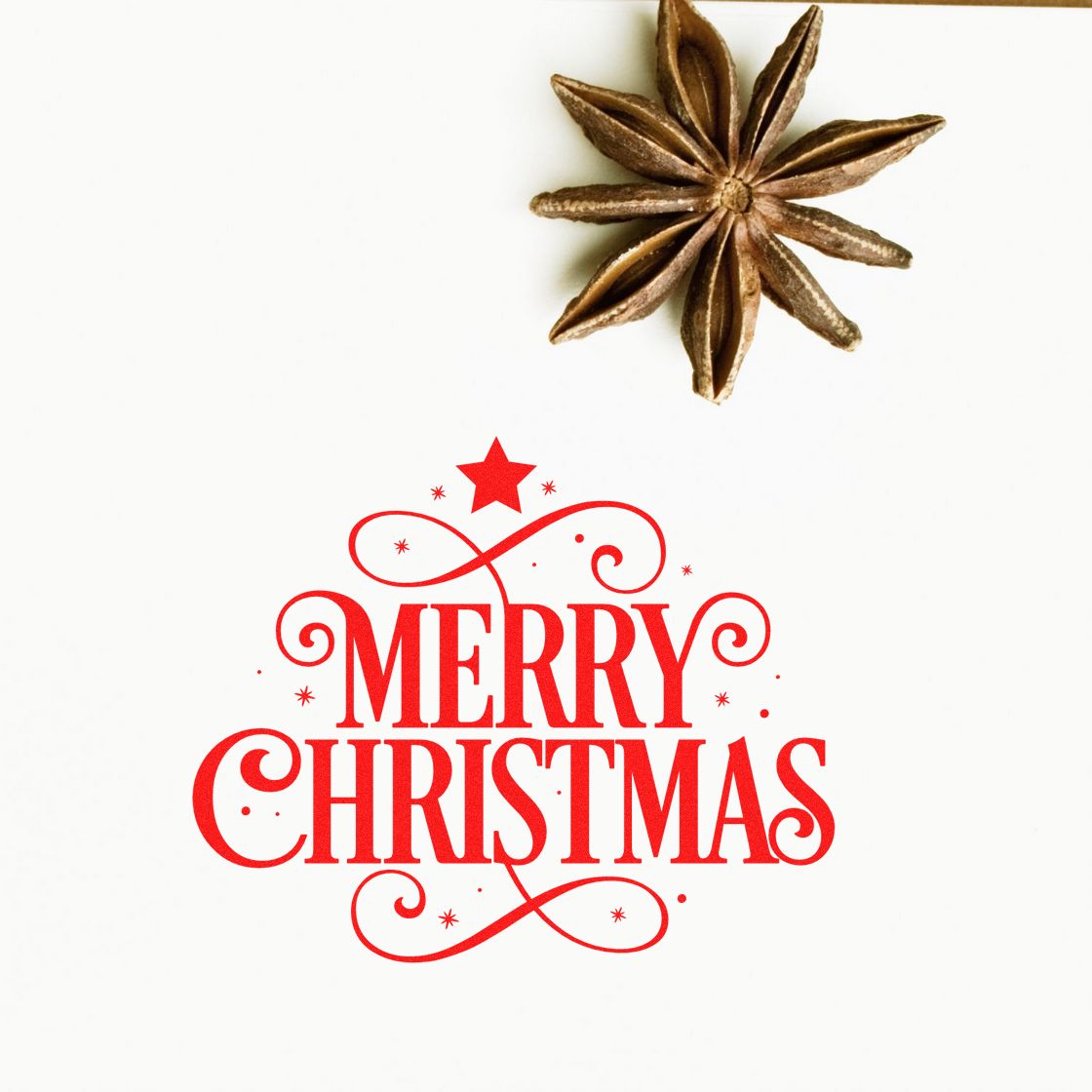 Brown star anise above a red Merry Christmas rubber stamp seal with ornate swirls on a white background.