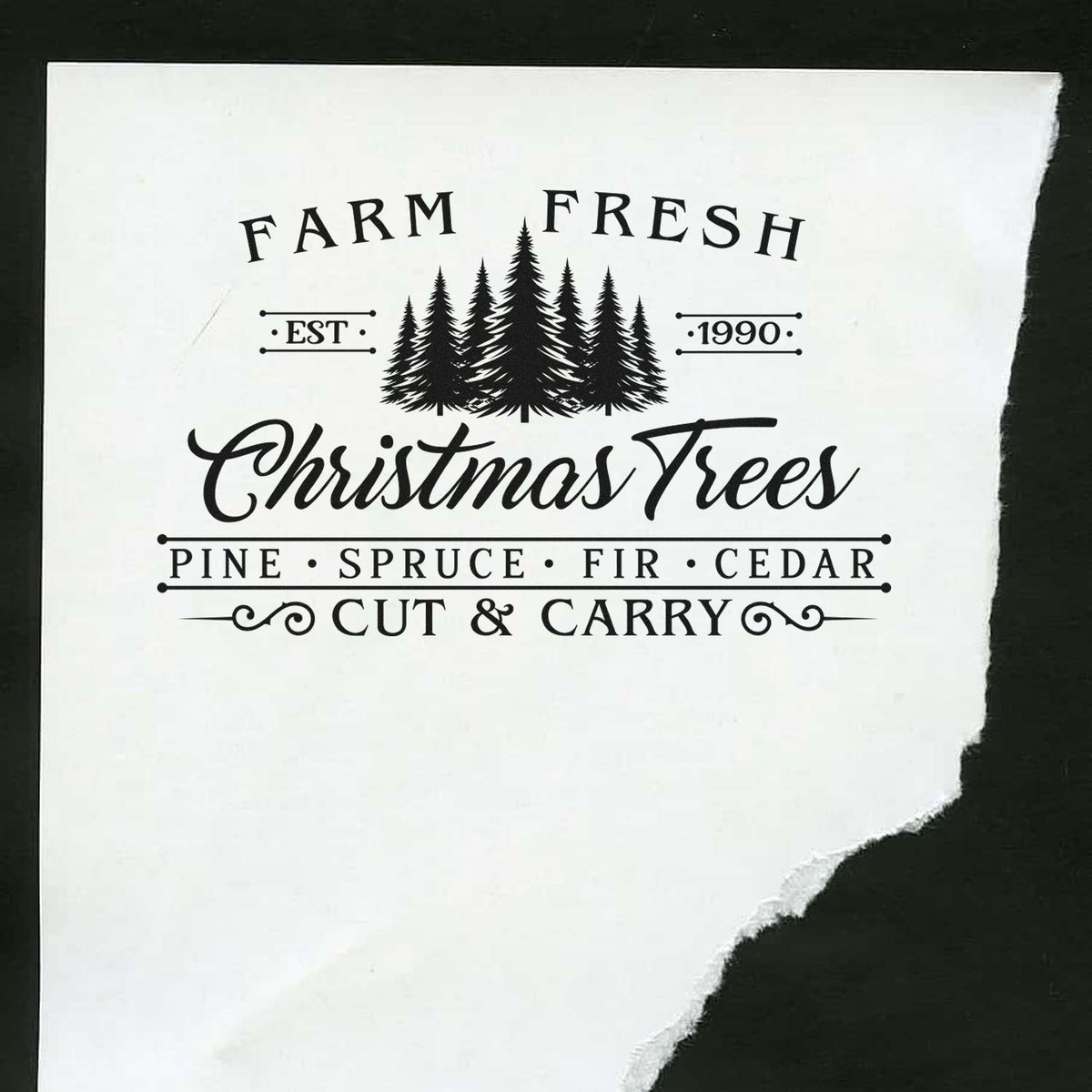 Black Farm Fresh Christmas Trees stamp seal on white paper with pine trees, EST 1990, pine, spruce, fir, cedar, cut & carry.