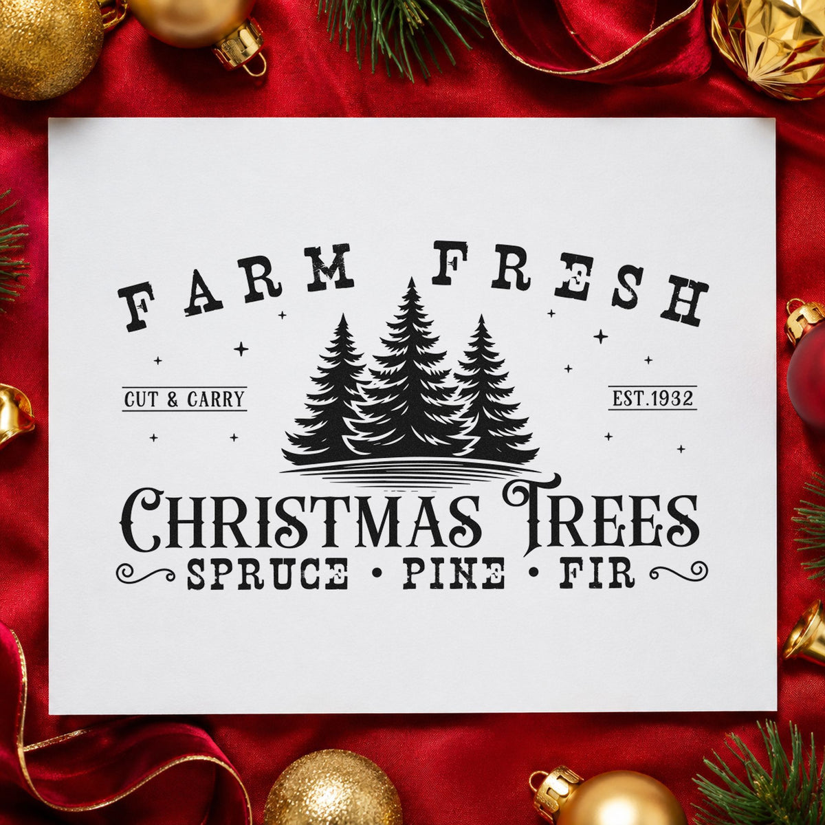Farm Fresh Spruce Pine Fir rubber stamp printed in black ink, ready for species band cards and similar paper crafts.