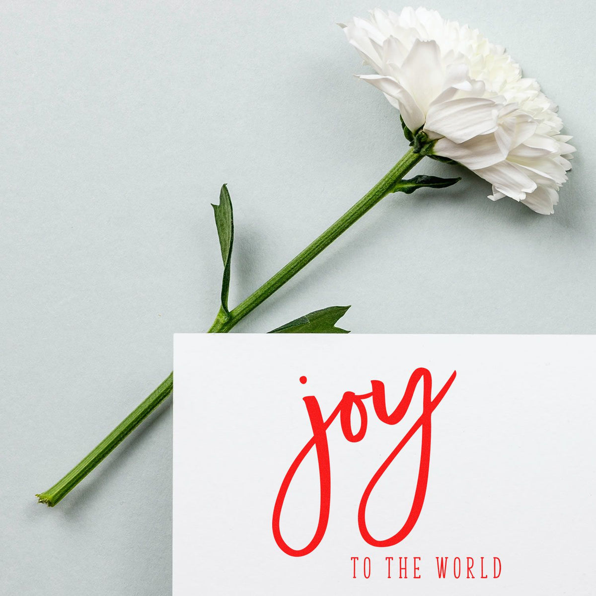 White flower beside a white card featuring a red joy to the world stamp seal