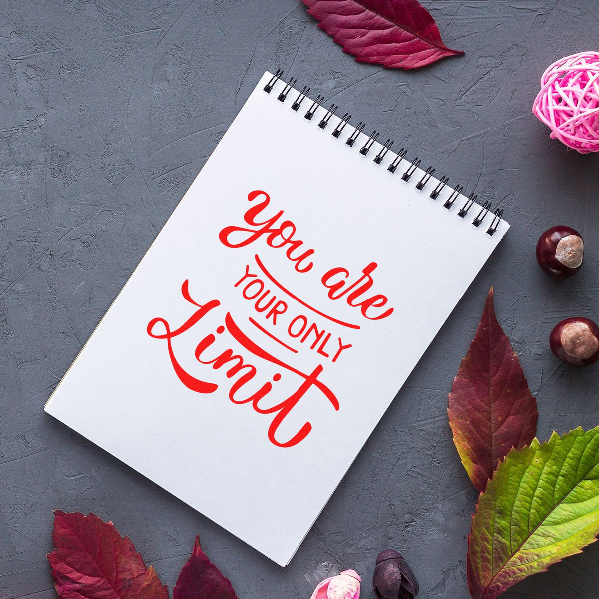 Custom red stamp/seal reading You are your only limit on a white spiral notebook, framed by autumn leaves on gray background.