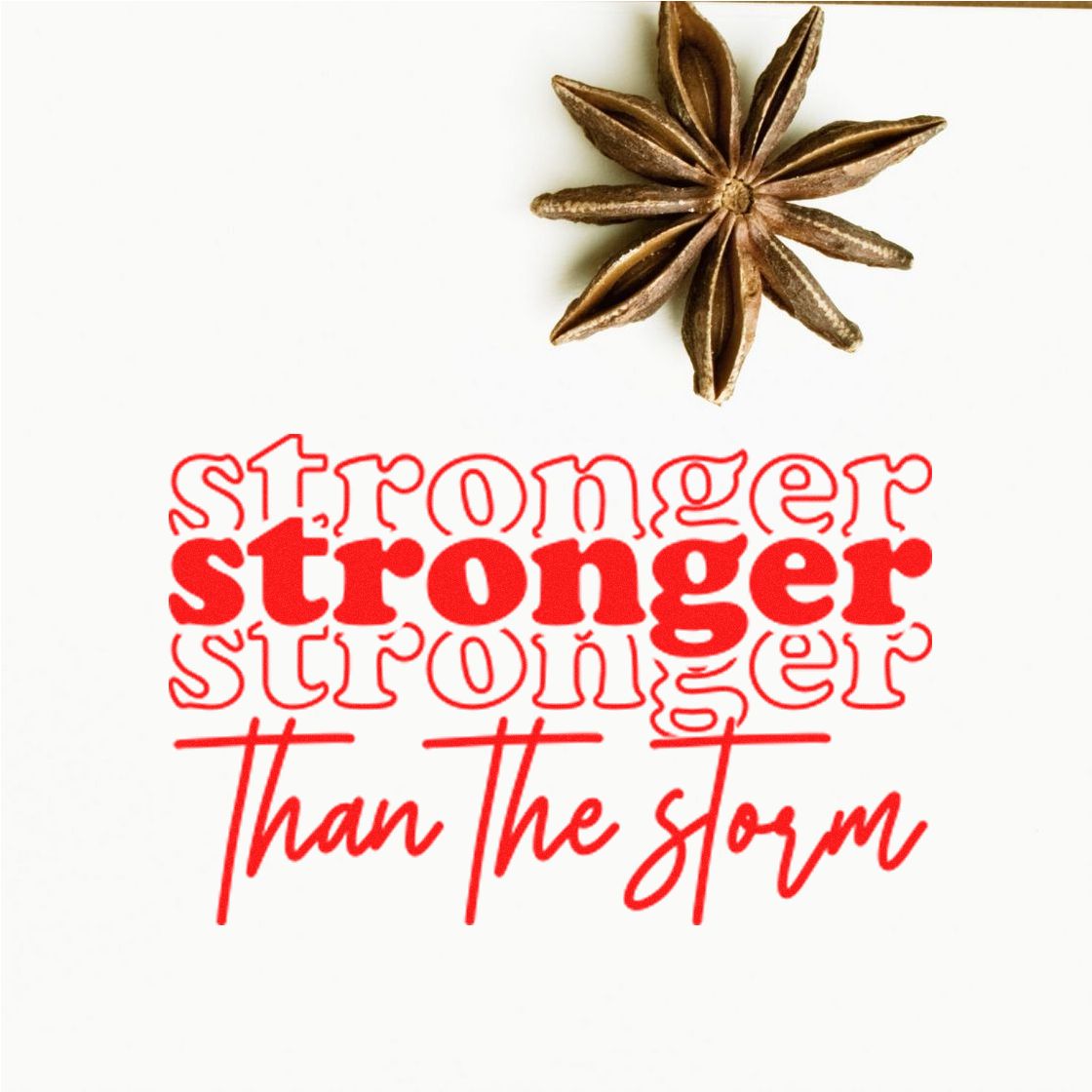 Red rubber stamp and seal design with brown star anise and bold red text: Stronger than the storm.