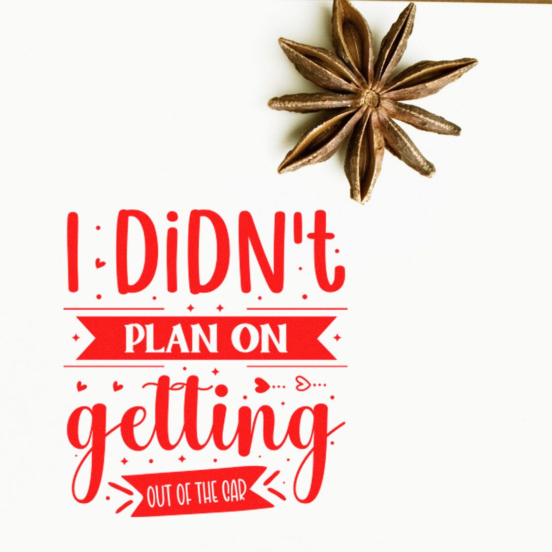 Red rubber stamp reading I didnt plan on getting out of the car with a brown star anise wax seal above.