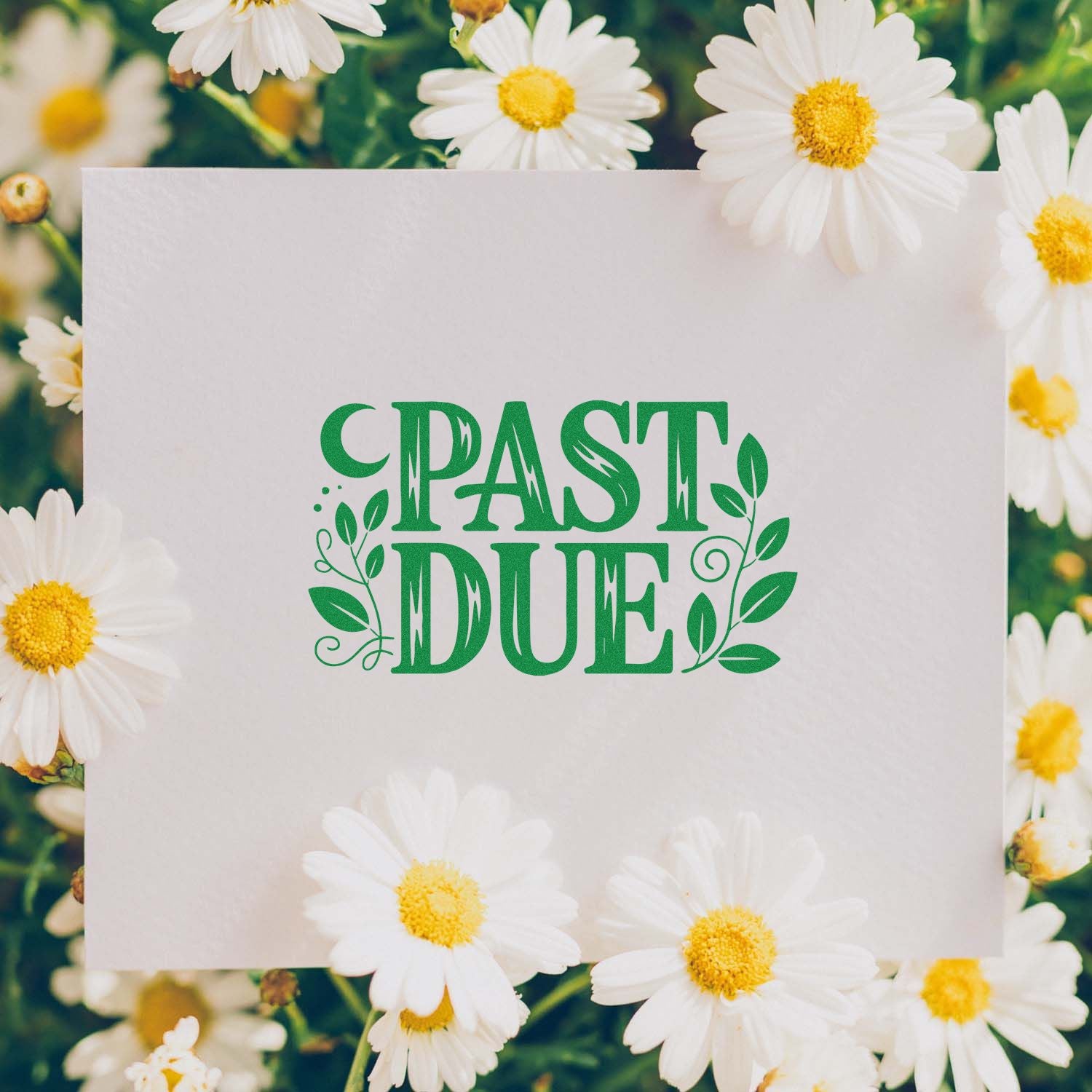 Green Past Due stamp seal with leafy flourishes on white paper, framed by white daisies with yellow centers.