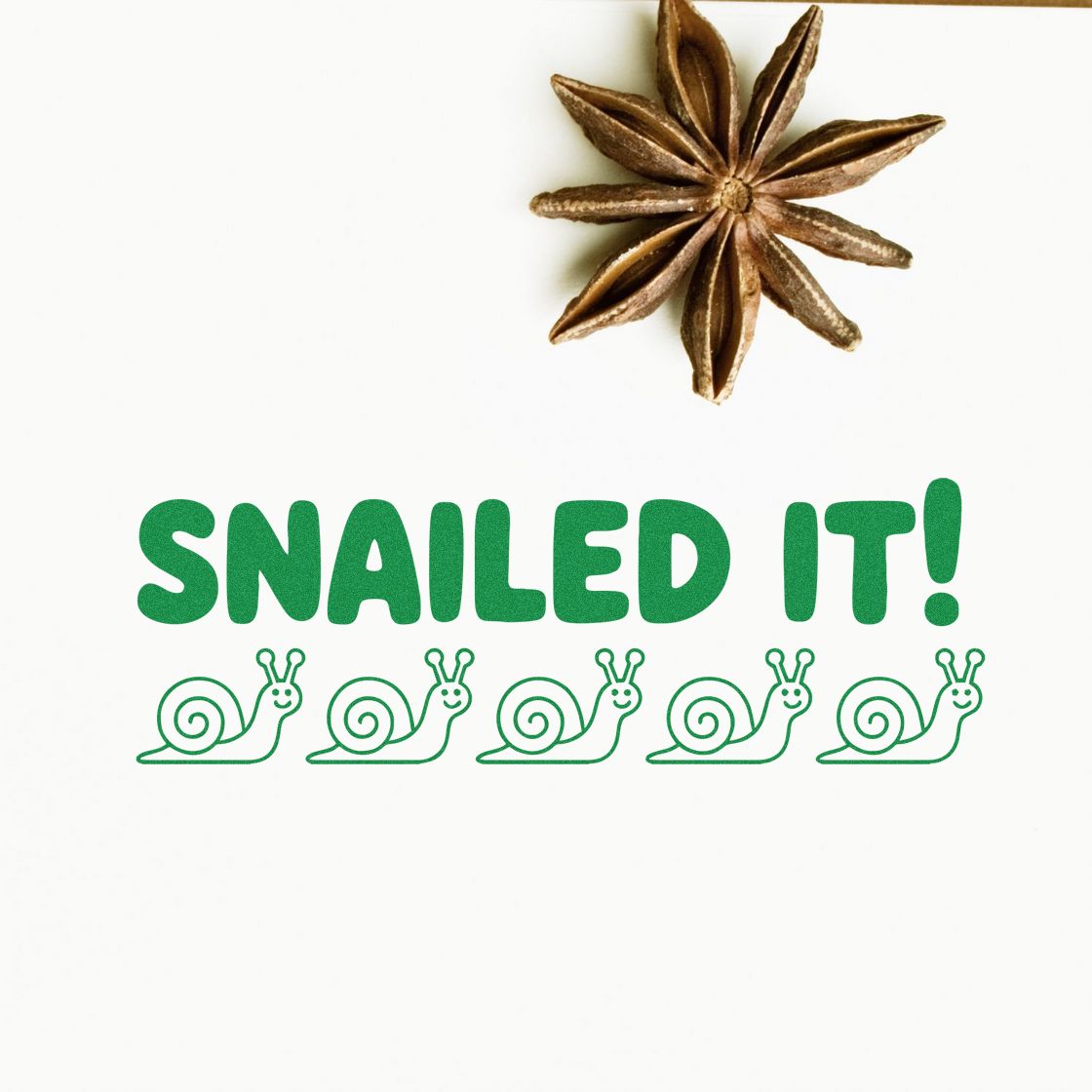 Brown star anise rubber stamp seal above green SNAILED IT! text and five snail icons.