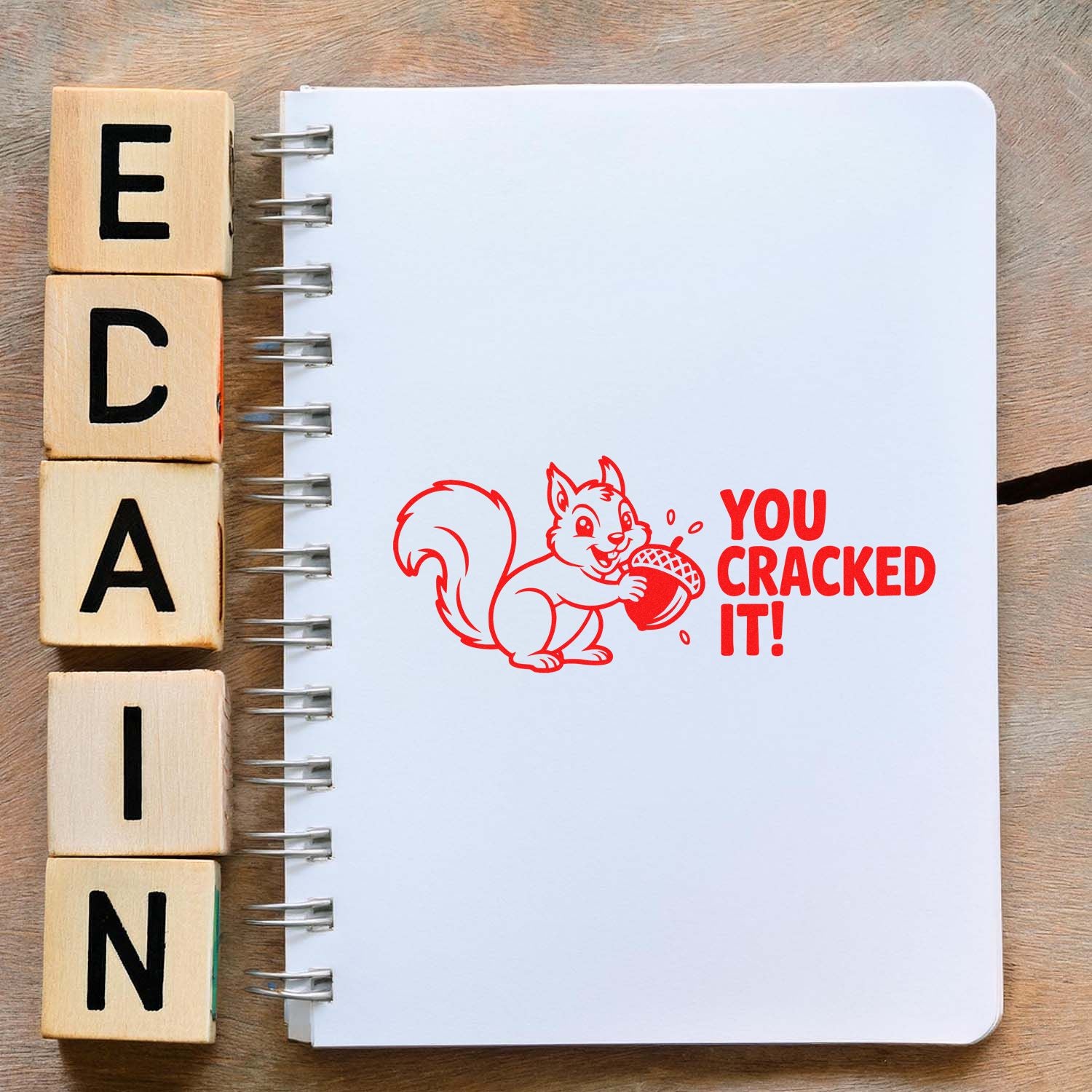 Wooden stamp blocks spelling ECAIN beside a spiral notebook with a red squirrel seal and YOU CRACKED IT! text.