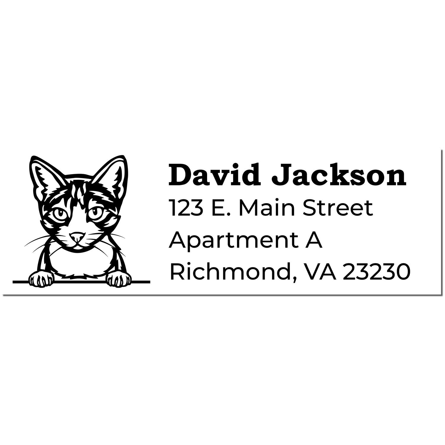 Wood Handle Aegean Cat Address Stamp featuring a cute cat illustration with sample text: David Jackson, 123 E. Main Street, Apartment A, Richmond, VA 23230. Perfect for personalized mail.