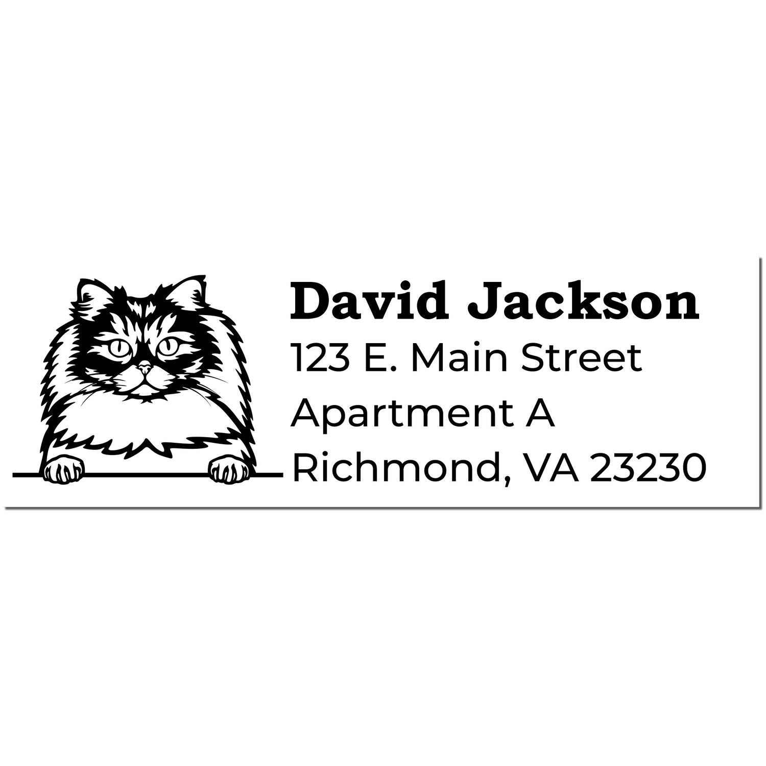 PSI Pre-Inked Peeking British Longhair Cat Personalized Address Stamp featuring a cute cat illustration above customizable address text. Perfect for adding a personal touch to your mail.