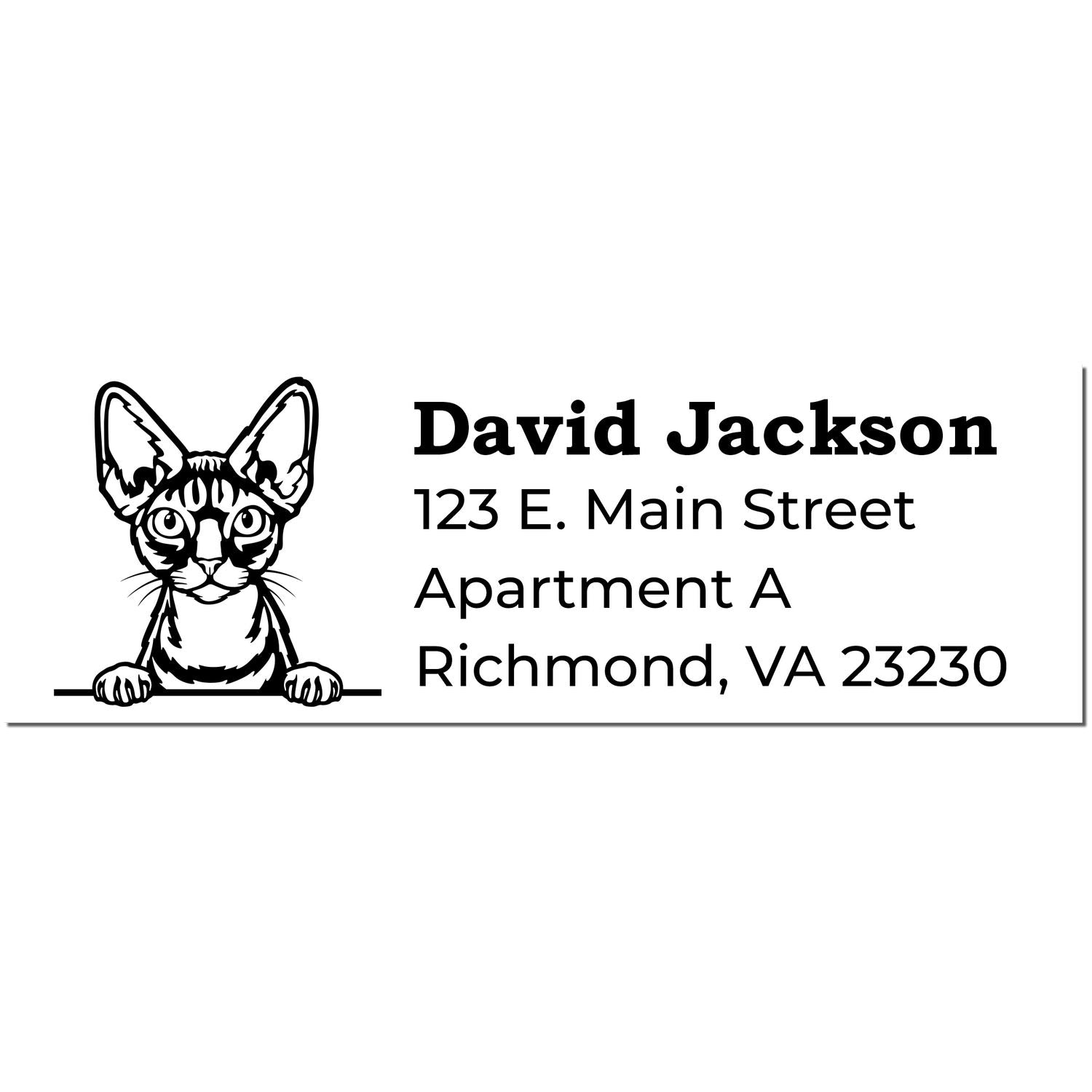 Devon Rex cat illustration on a custom address stamp with text: David Jackson, 123 E. Main Street, Apartment A, Richmond, VA 23230. Perfect for personalized mail with a Self-Inking Devon Rex Custom Address Stamp.