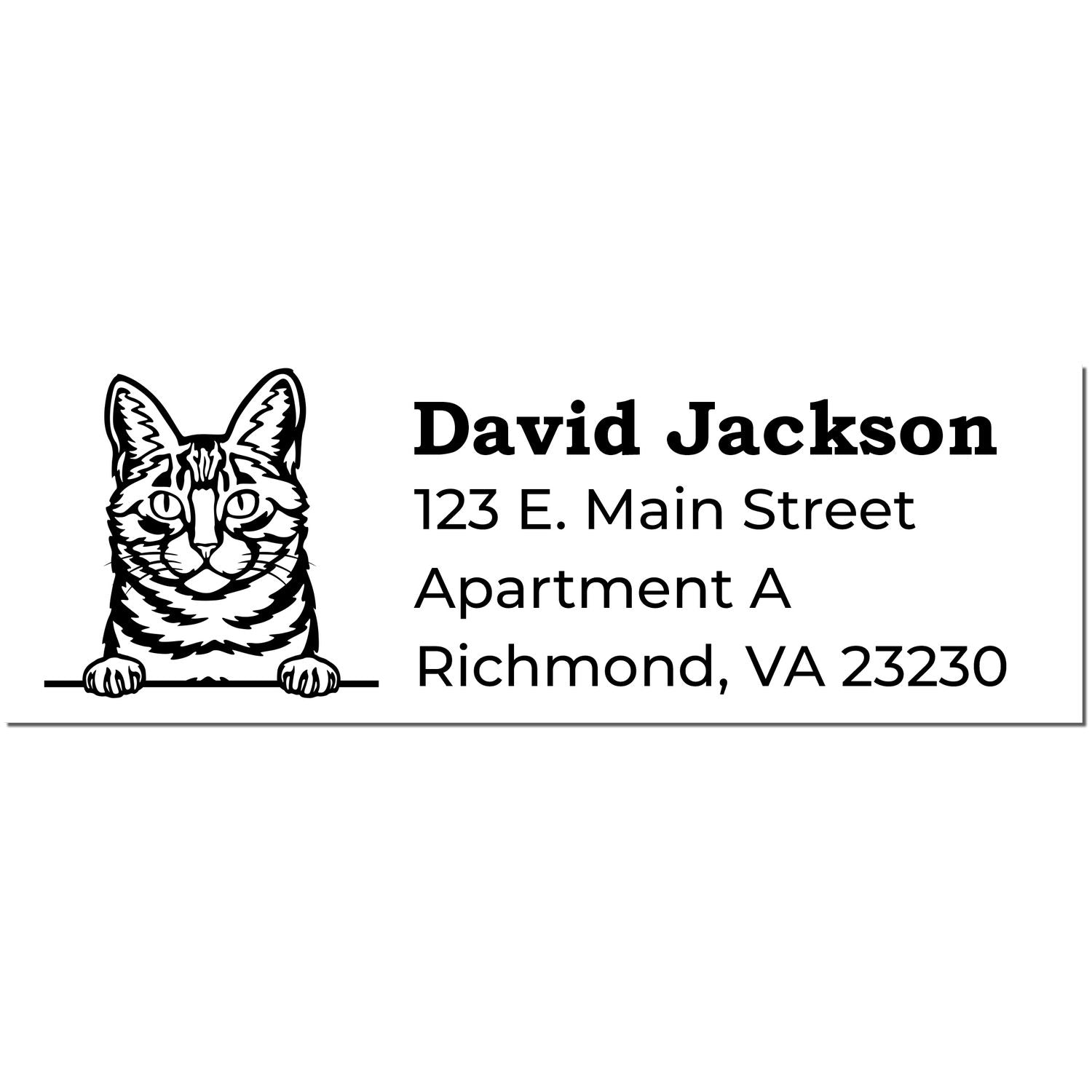 Slim Pre-Inked Dragon Li Peeking Cat Return Address Stamp featuring a detailed cat illustration with customizable address text. Perfect for personalizing mail with a touch of feline charm.