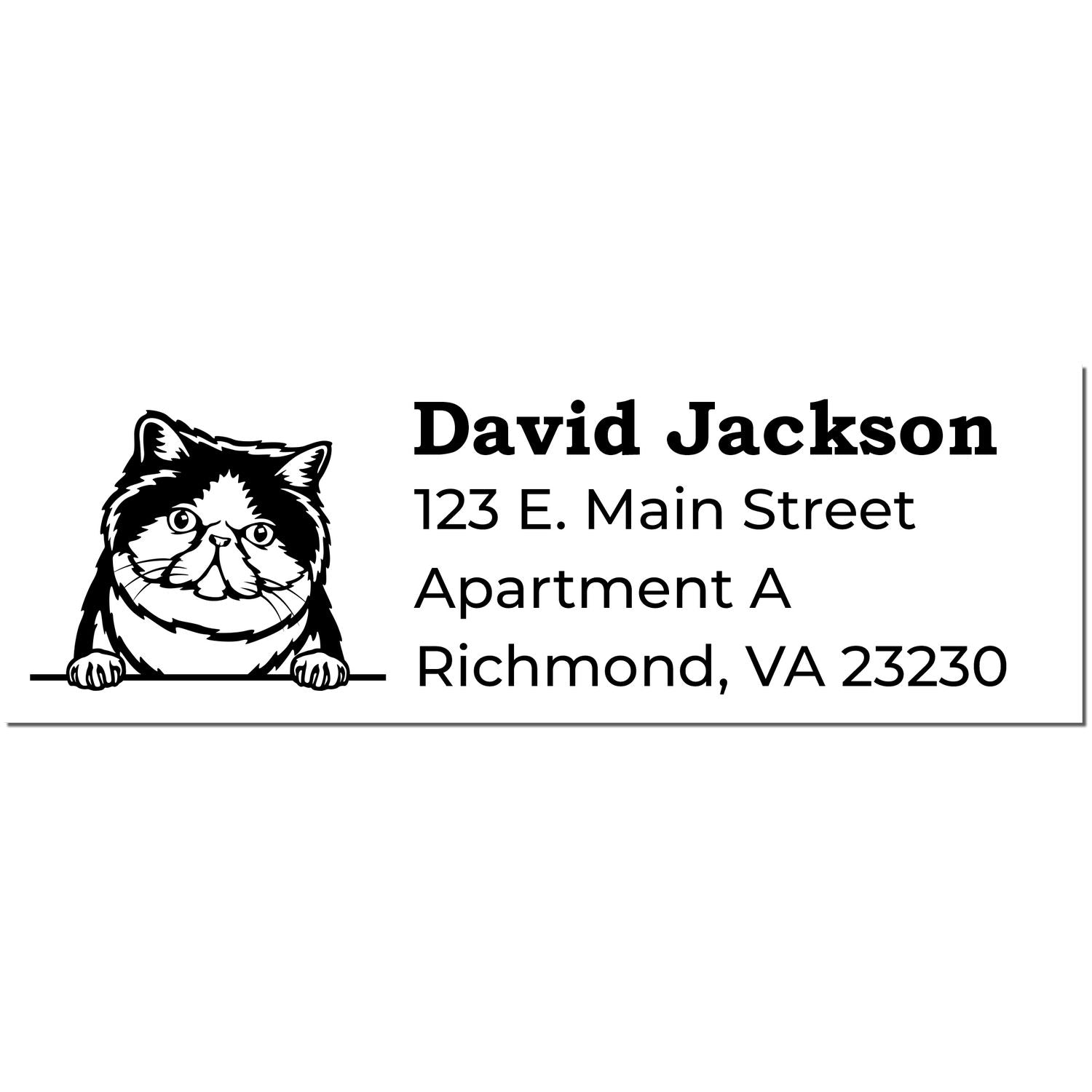 Self-Inking Exotic Shorthair Custom Address Stamp featuring a cute cat illustration with sample text: David Jackson, 123 E. Main Street, Apartment A, Richmond, VA 23230 in black ink.