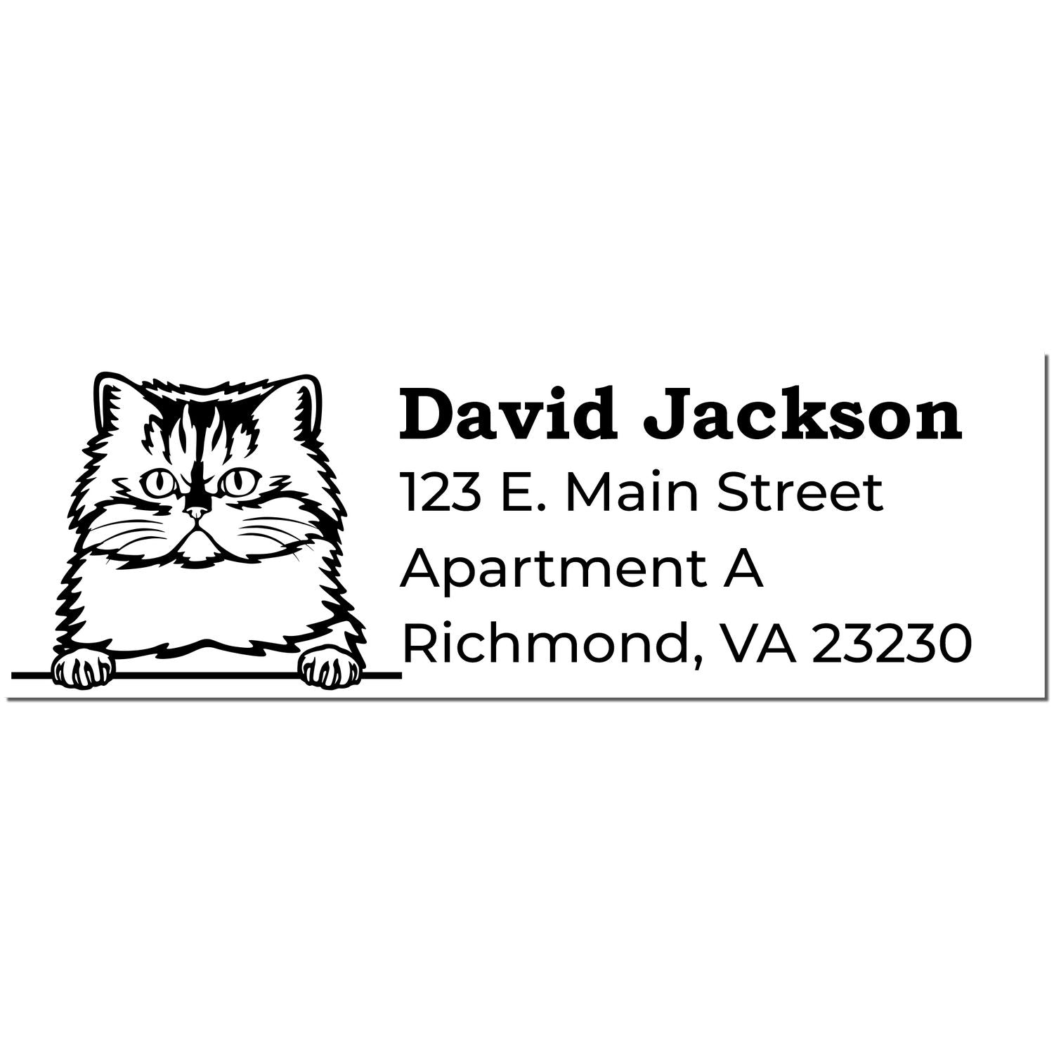 Self-Inking Persian Custom Address Stamp featuring a Persian cat illustration with the name David Jackson and address details in bold, clear font. Perfect for personalized mail and stationery.