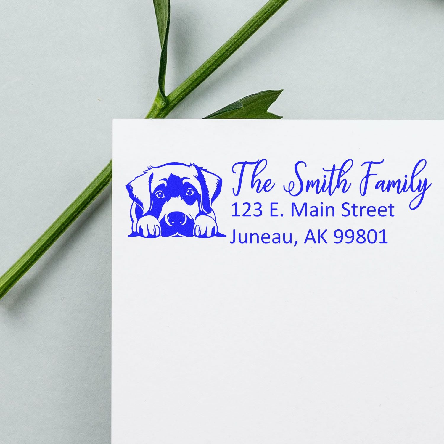 Slim Anatolian Shepherd Dog Mail Address Stamp