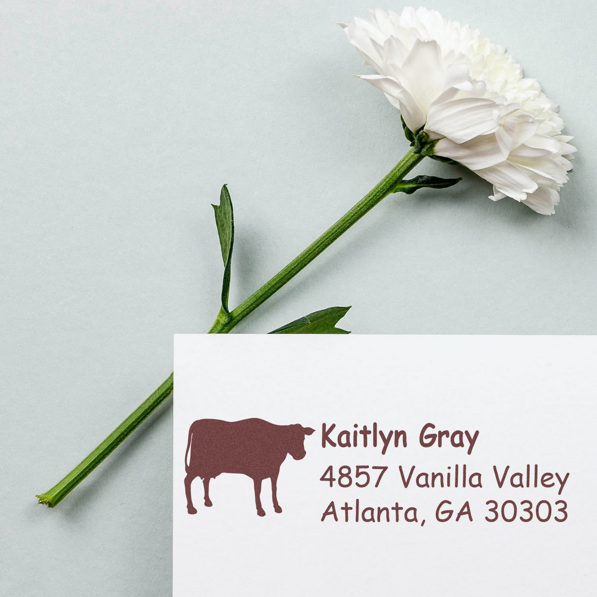 Slim Pre-Inked Stoic Steer Handmade Home Address Stamp