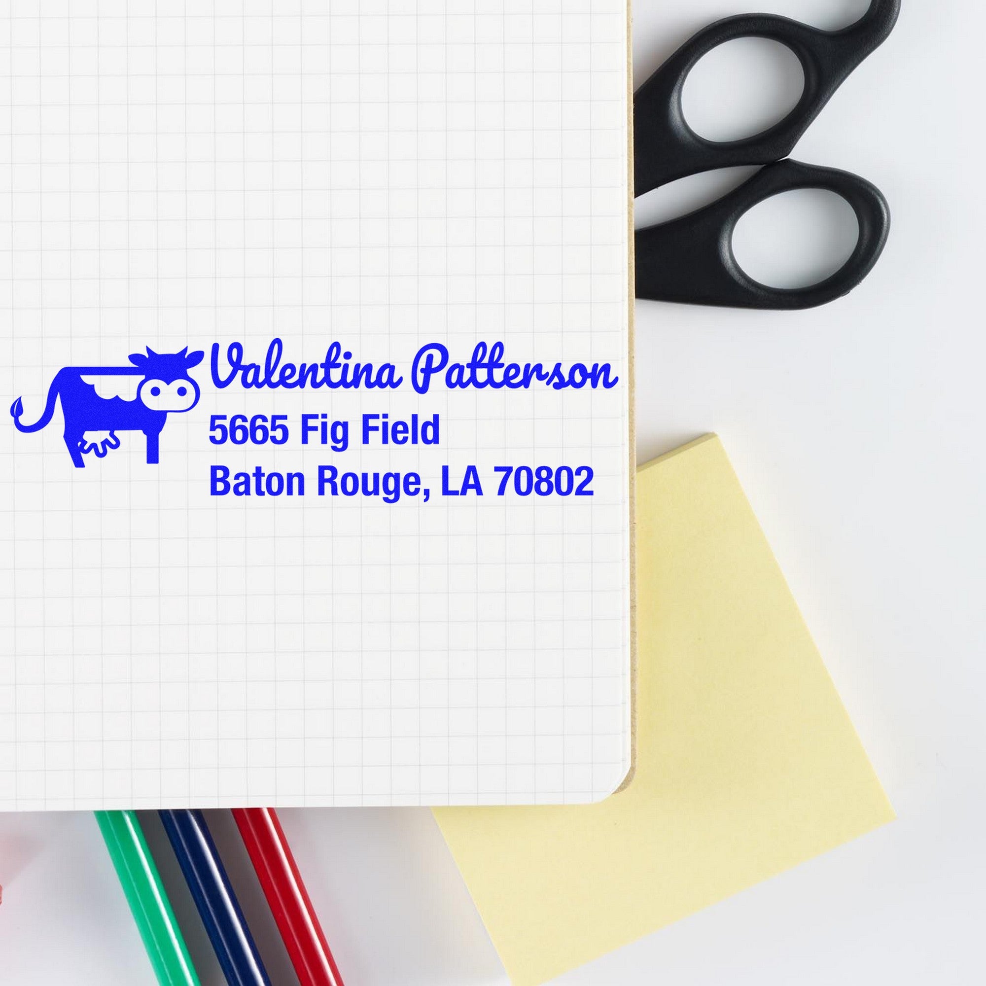 Slim Pre-Inked Curious Cow Customize Return Address Stamp