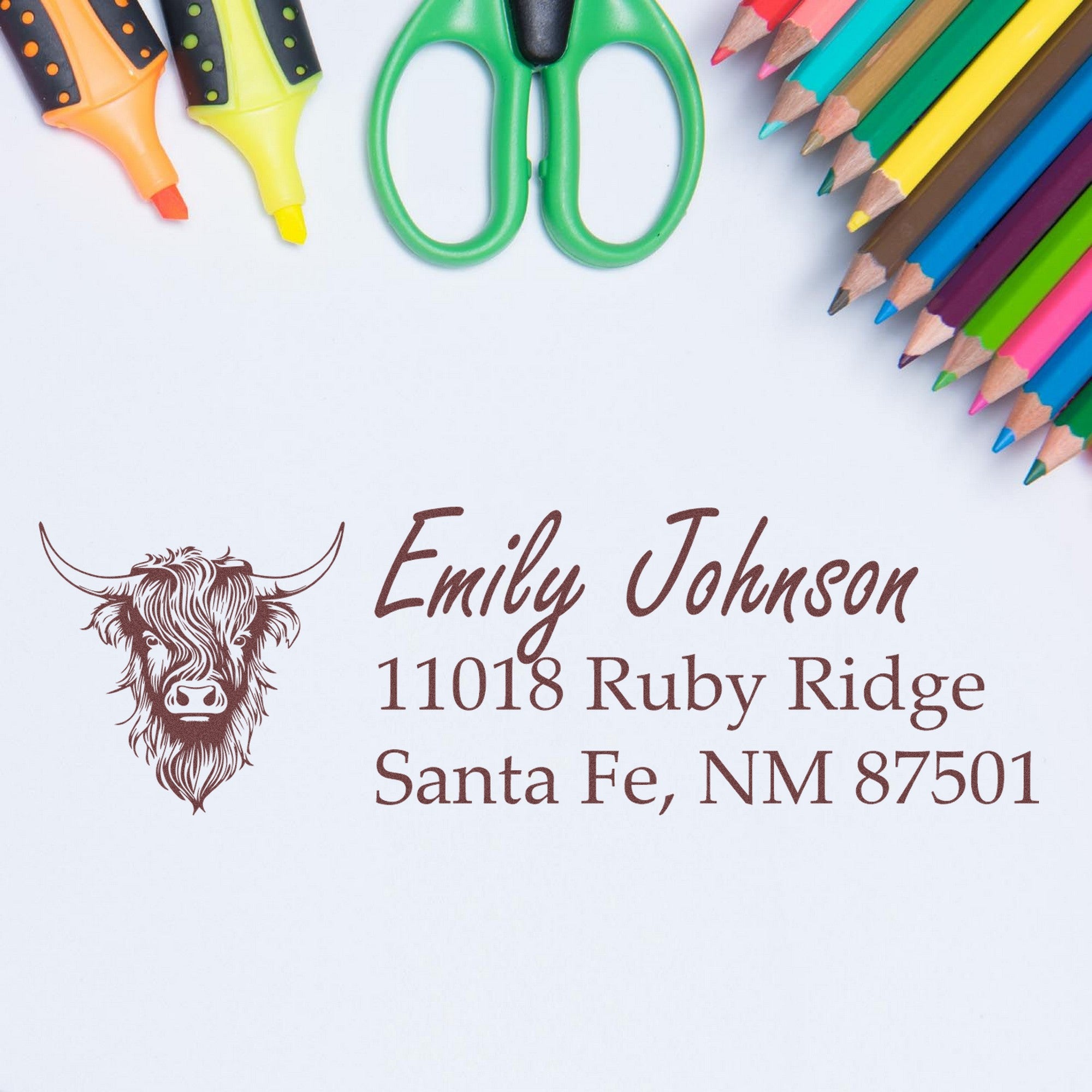 Slim Pre-Inked Holy Cow Customizable Name and Address Stamp