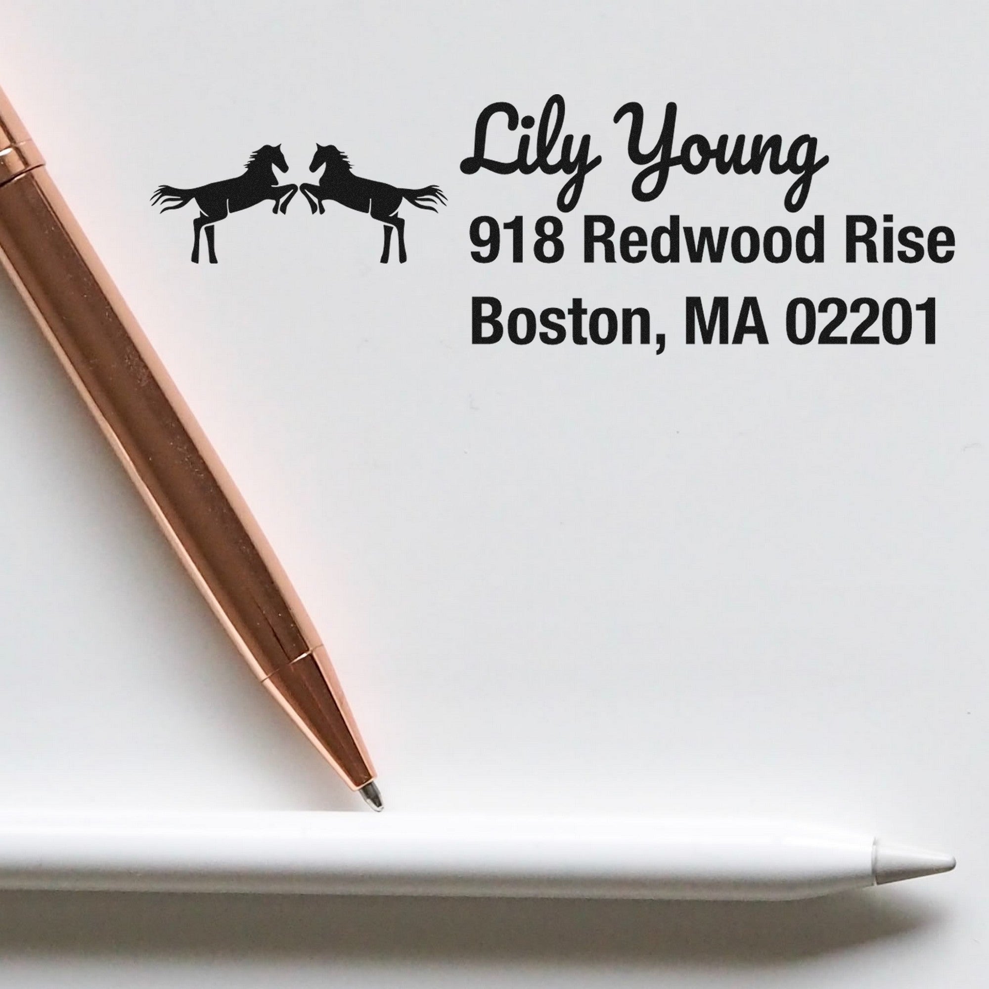 Brave Warriors Horse Customize Mail Address Rubber Stamp