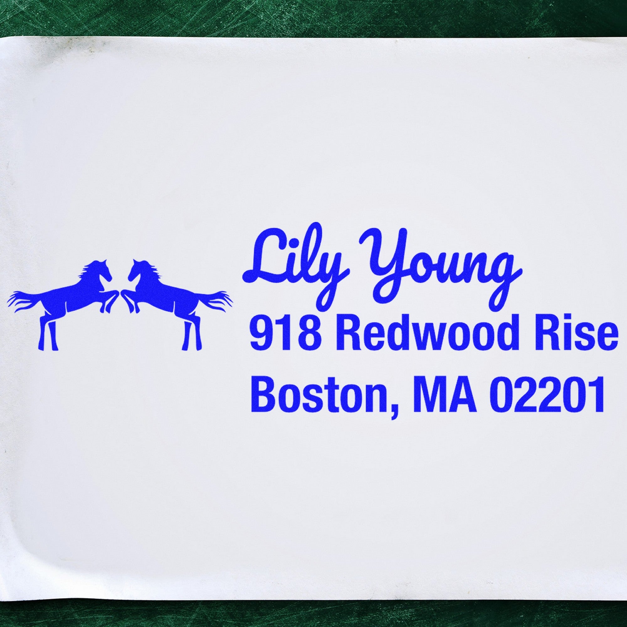 Slim Pre-Inked Brave Warriors Horse Handmade Address Label Stamp