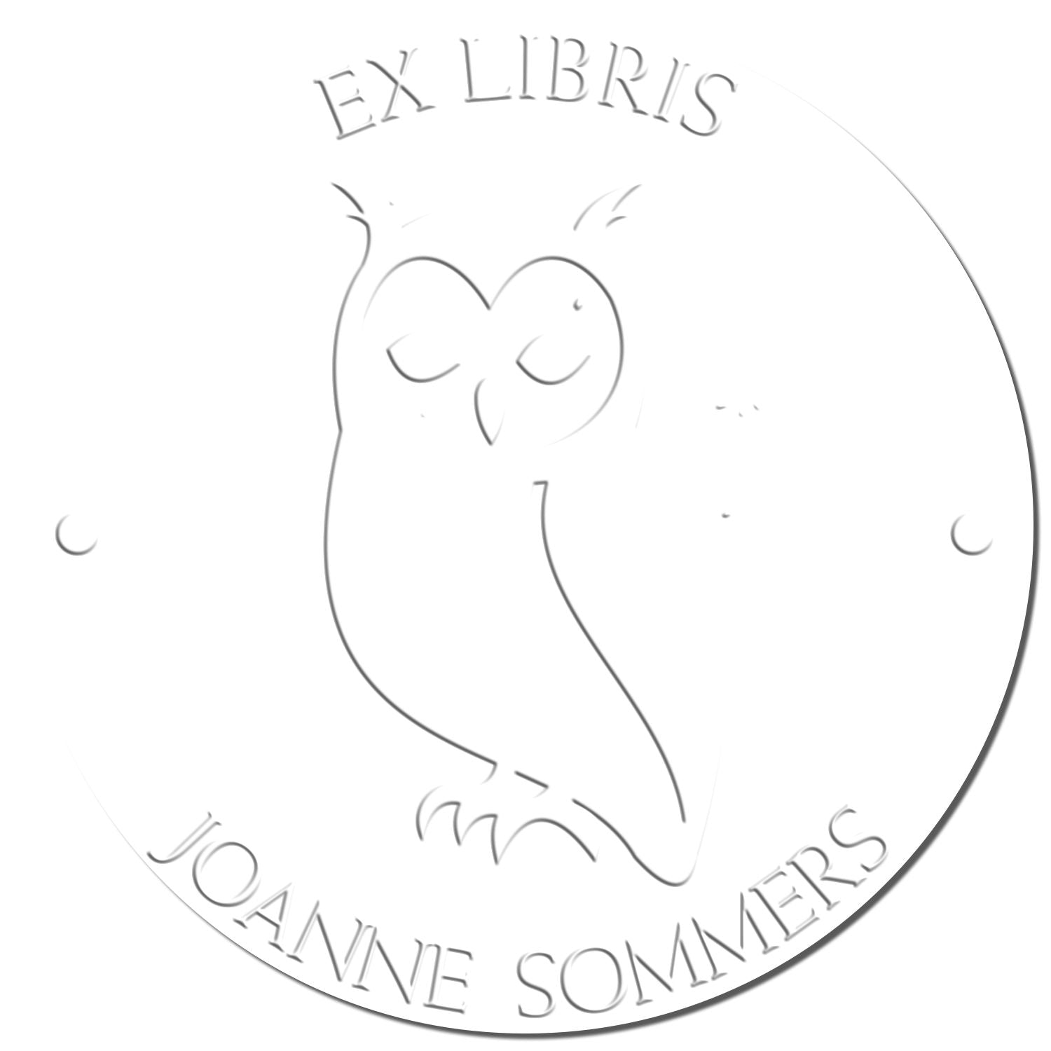 Nocturnal Owl Handheld Custom Library Book With Name Embosser