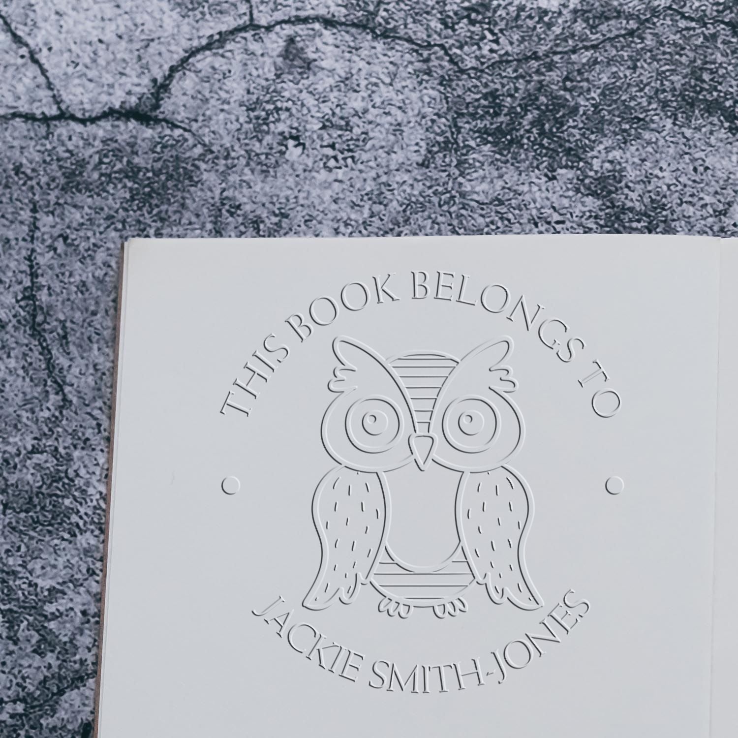 Soft Playful Owl Personalized Book Ownership Label Paper Embosser