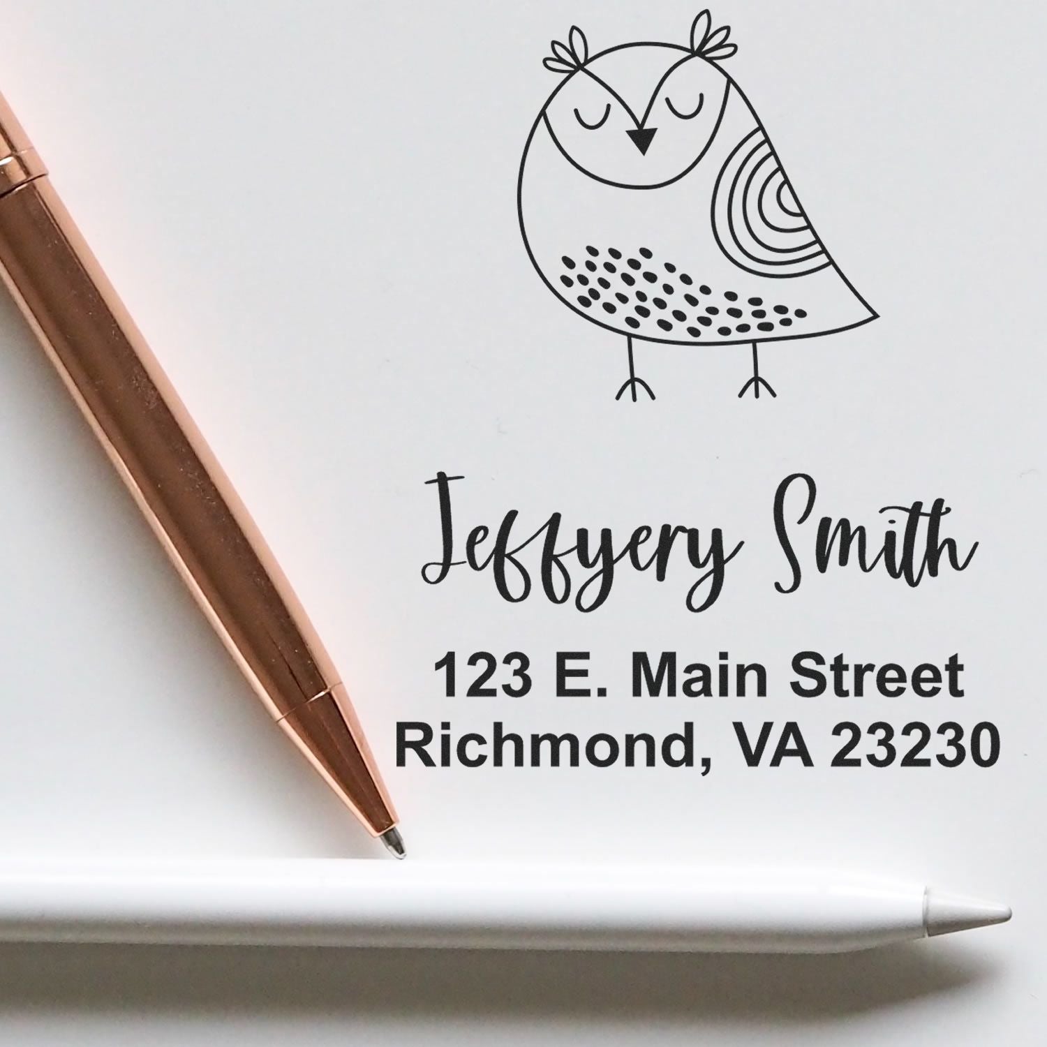 PSI Pre-Inked Whimsical Pets Sleepy Bird Customized Name And Address Stamper - Engineer Seal Stamps
