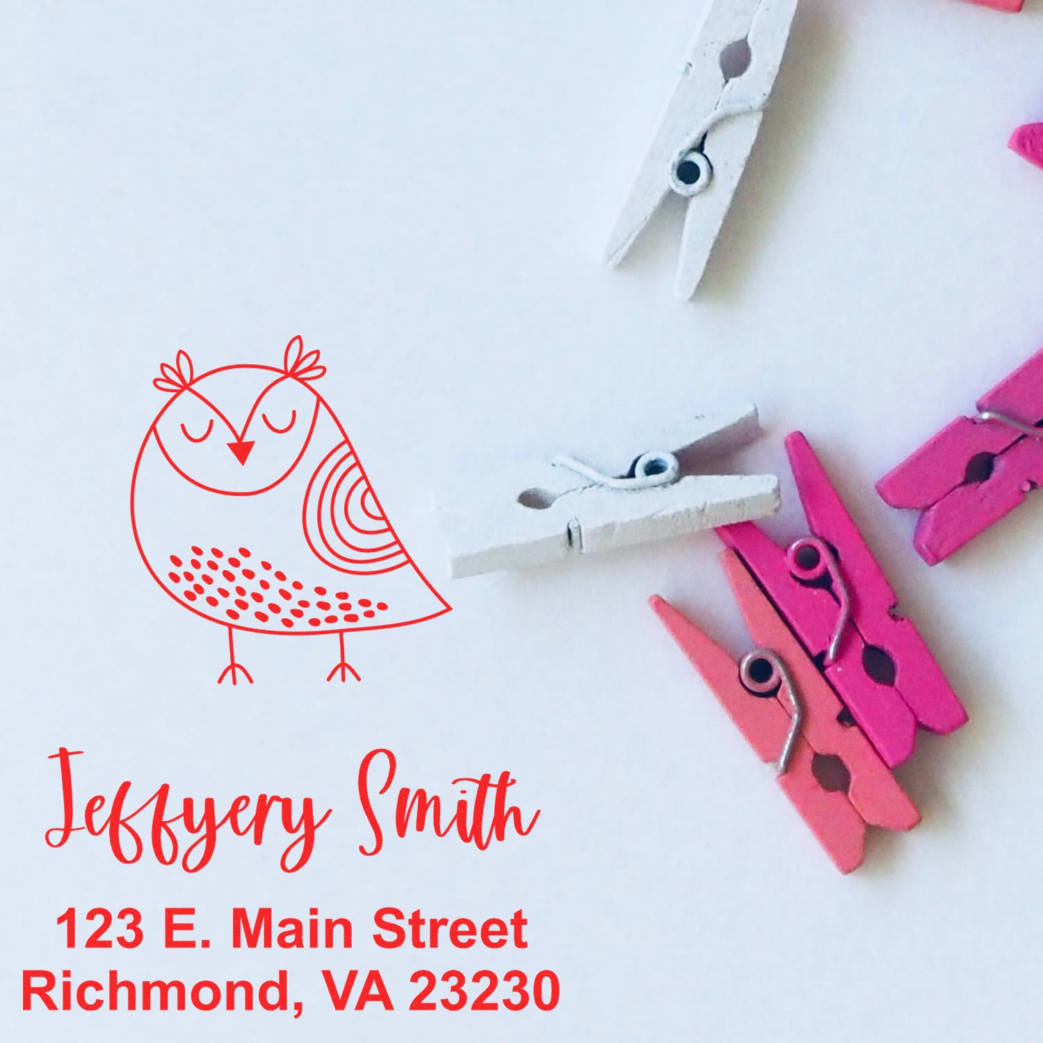 PSI Pre-Inked Whimsical Pets Sleepy Bird Customized Name And Address Stamper - Engineer Seal Stamps