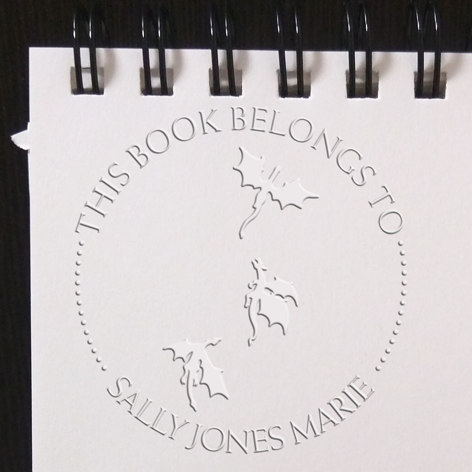 Soft Nebula Nest Personalized Book Library Embossing Seal
