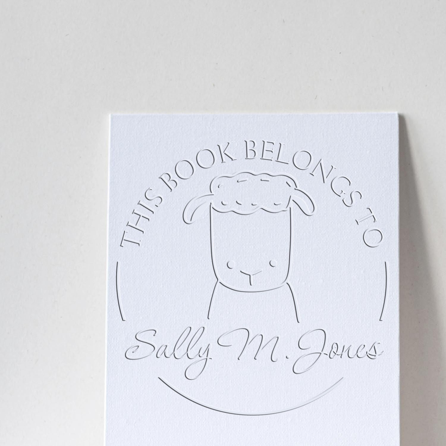 TwirlTail cartoon animal design on a personalized library collection seal, featuring a custom-made mailing stamp with the text "This Book Belongs To Sally M. Jones" embossed on a white card.