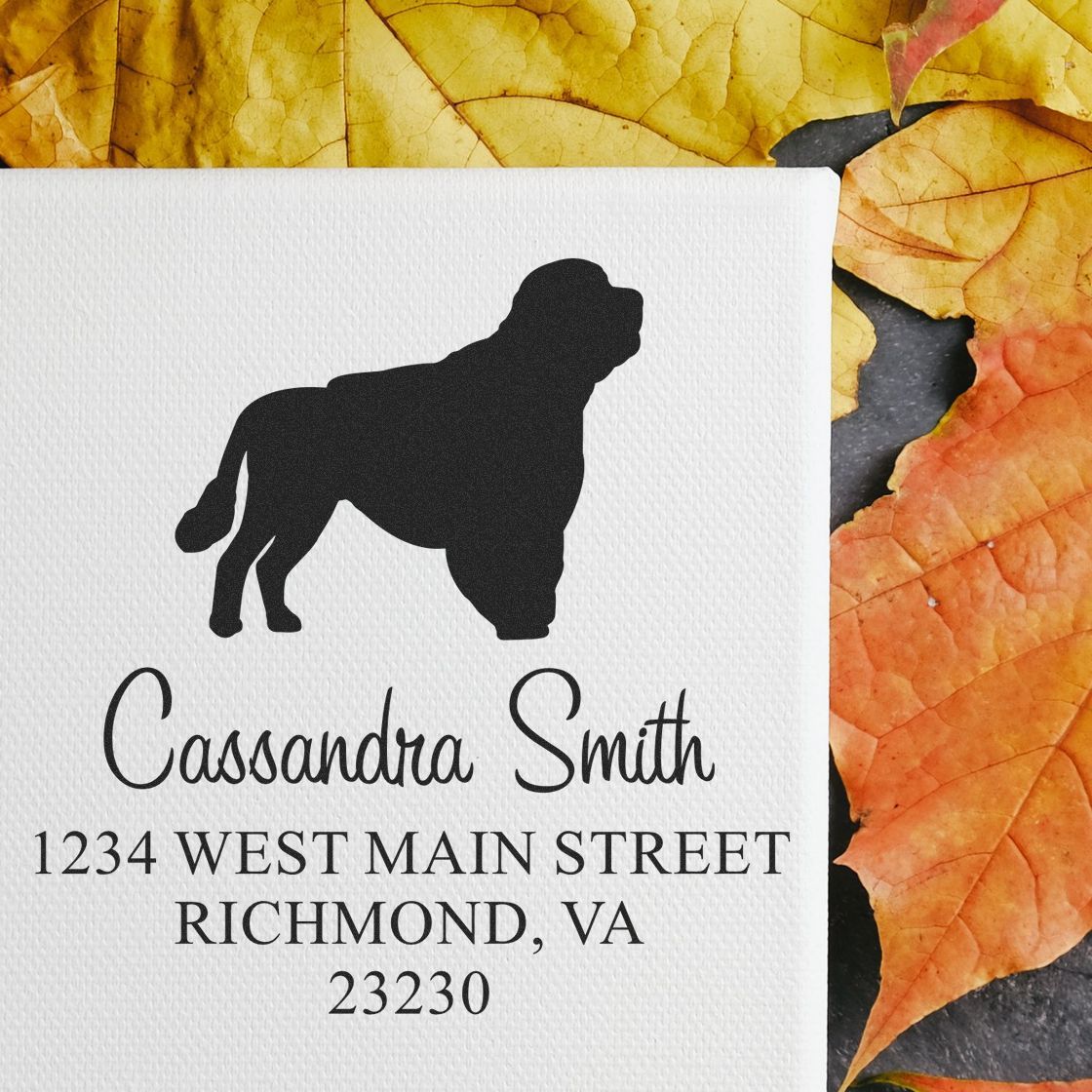 Slim Pre-Inked Portuguese Water Dog Personalizable Mailing Stamp for Envelopes