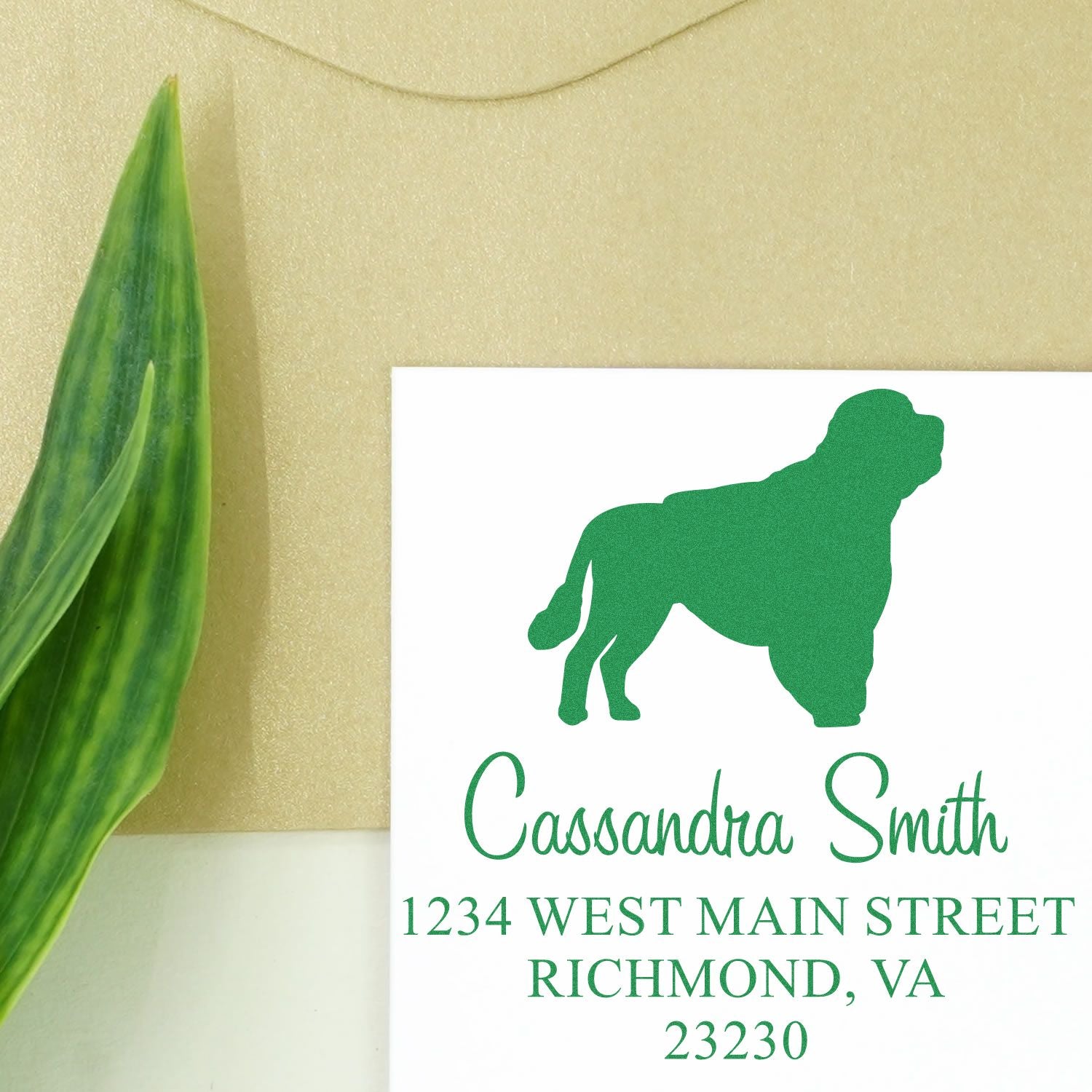 Slim Pre-Inked Portuguese Water Dog Personalizable Mailing Stamp for Envelopes