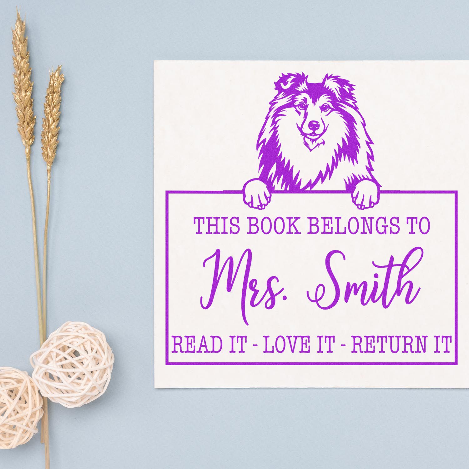 Customizable Borrowed Classroom Library Stamp with Shetland Sheepdog Dog - Engineer Seal Stamps