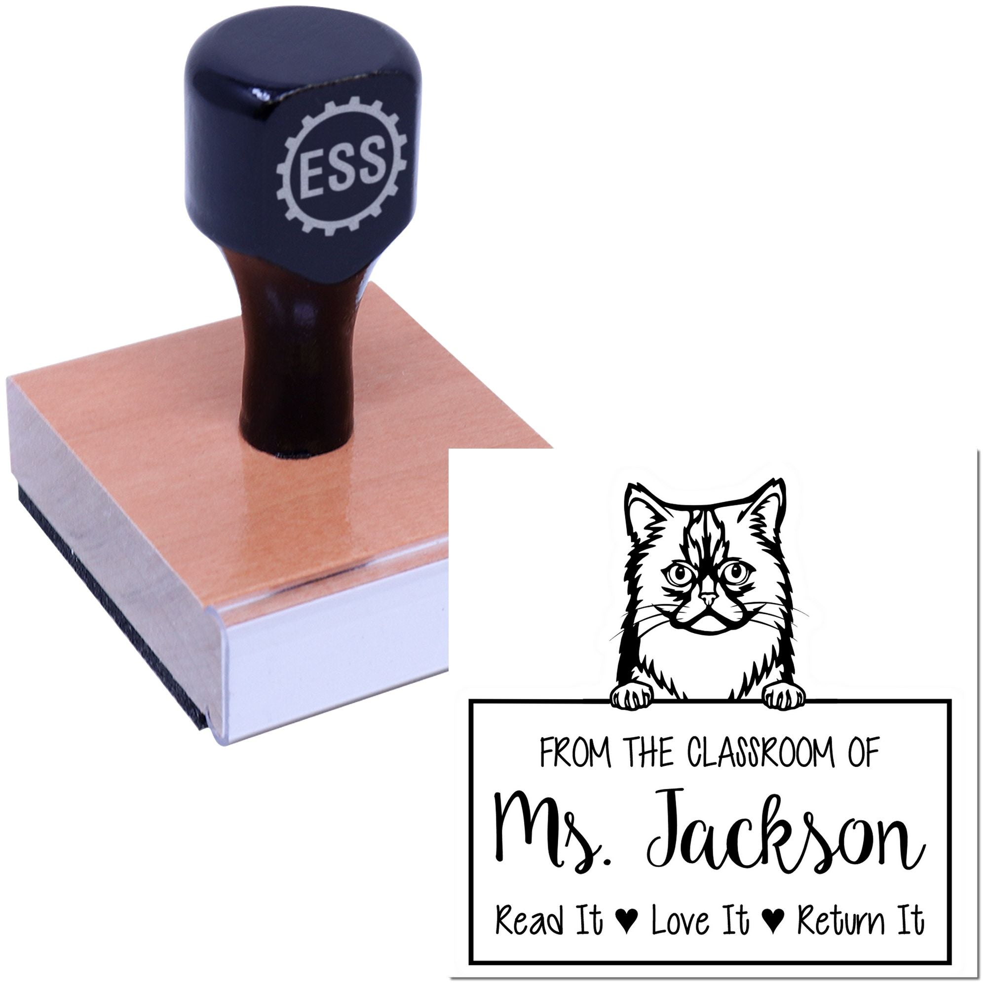 Cute Asian Semi Longhair Cat-Themed Teacher Stamp Stamp