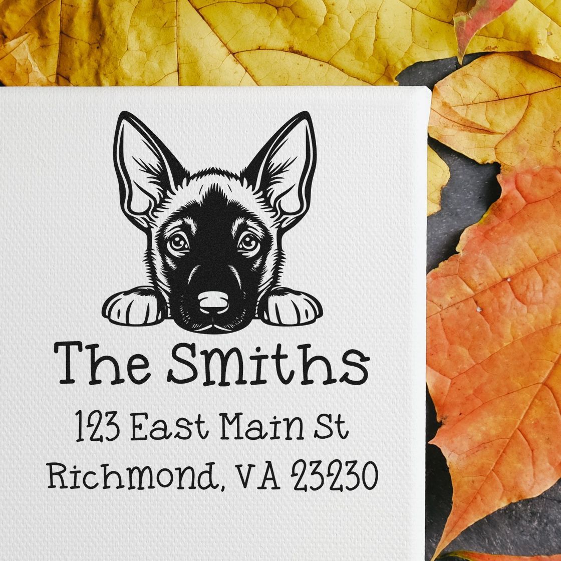 Wood Handle Belgian Malinois Puppy Custom Mail Address Stamp