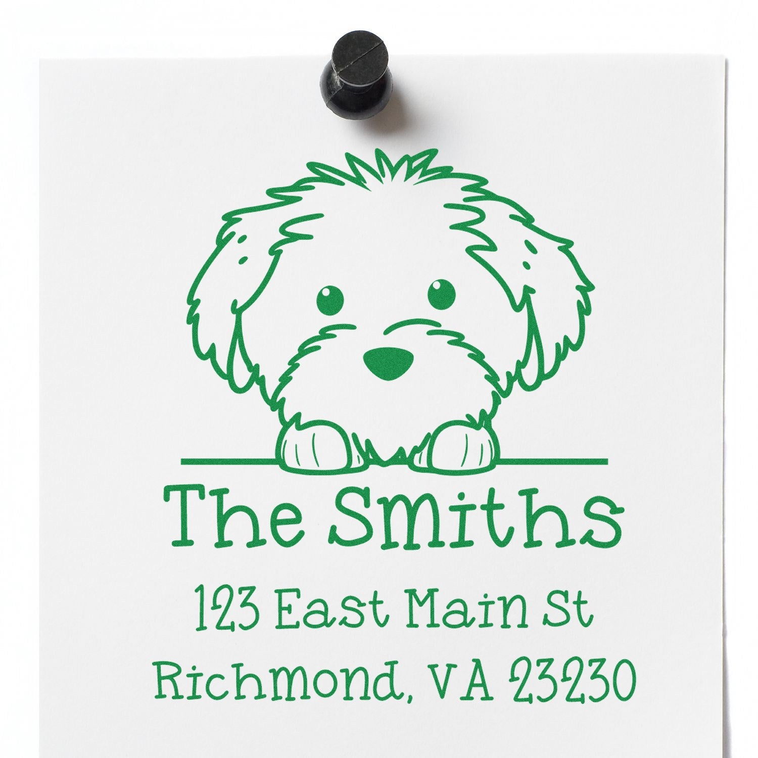 Self-Inking Cotton De Tulear Peeking Puppy Custom Name and Address Stamp