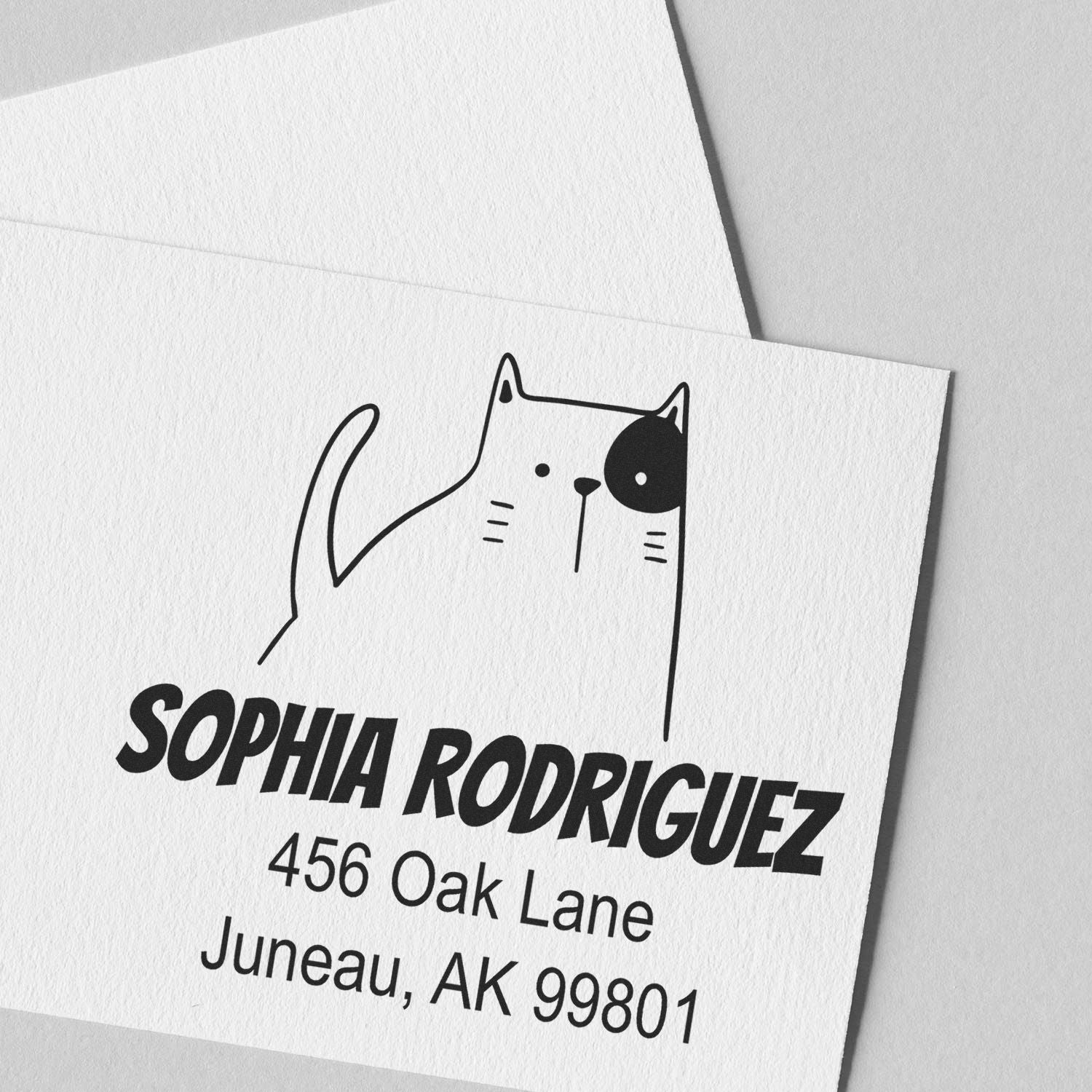 Fluffy Feline Pre-Inked Handcrafted Home Stamper featuring a cute cat design on a personalizable return mail stamper. The stamp displays the name "Sophia Rodriguez" with an address, showcasing its customization capability.