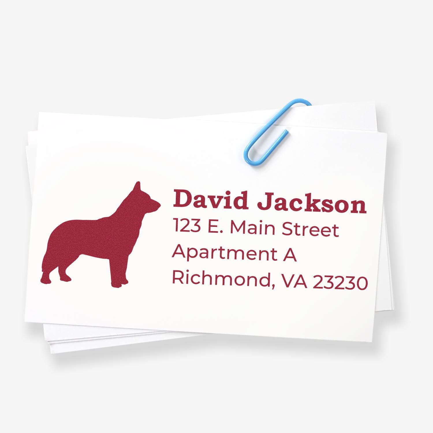 Blue Heeler Silhouette Address Rubber Stamp on a white card with red text, featuring a dog silhouette and address details. A blue paperclip holds the card stack together.