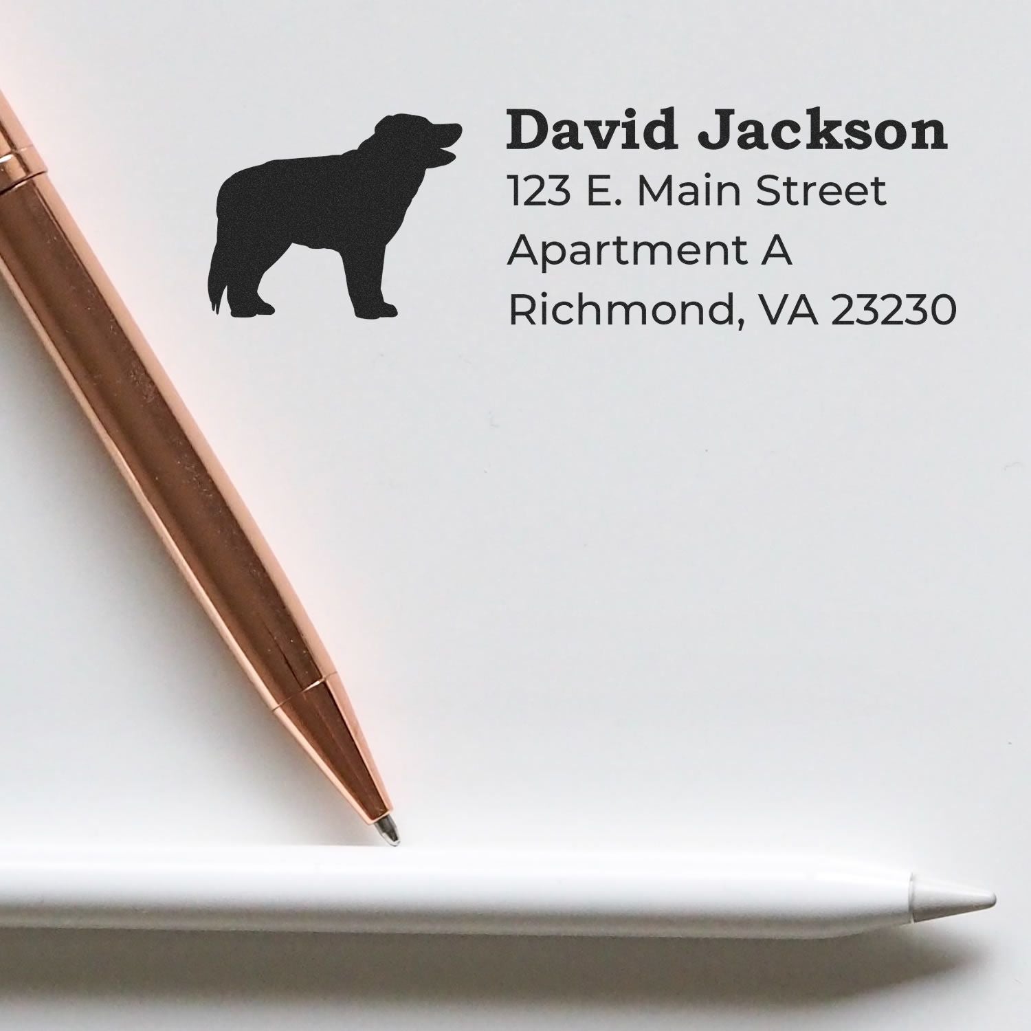 Self-Inking Border Collie Dog Address Stamp on white paper, next to a gold pen and a white stylus, displaying a silhouette of a Border Collie and sample address text.