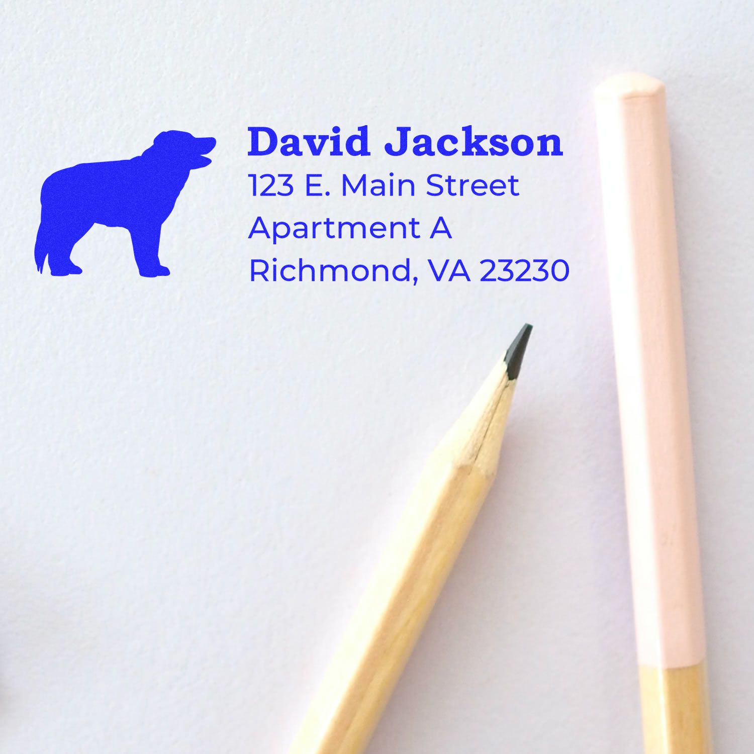 Self-Inking Border Collie Dog Address Stamp on paper with a blue dog silhouette, next to a pencil and a pink eraser. Text reads: David Jackson, 123 E. Main Street, Apartment A, Richmond, VA 23230.