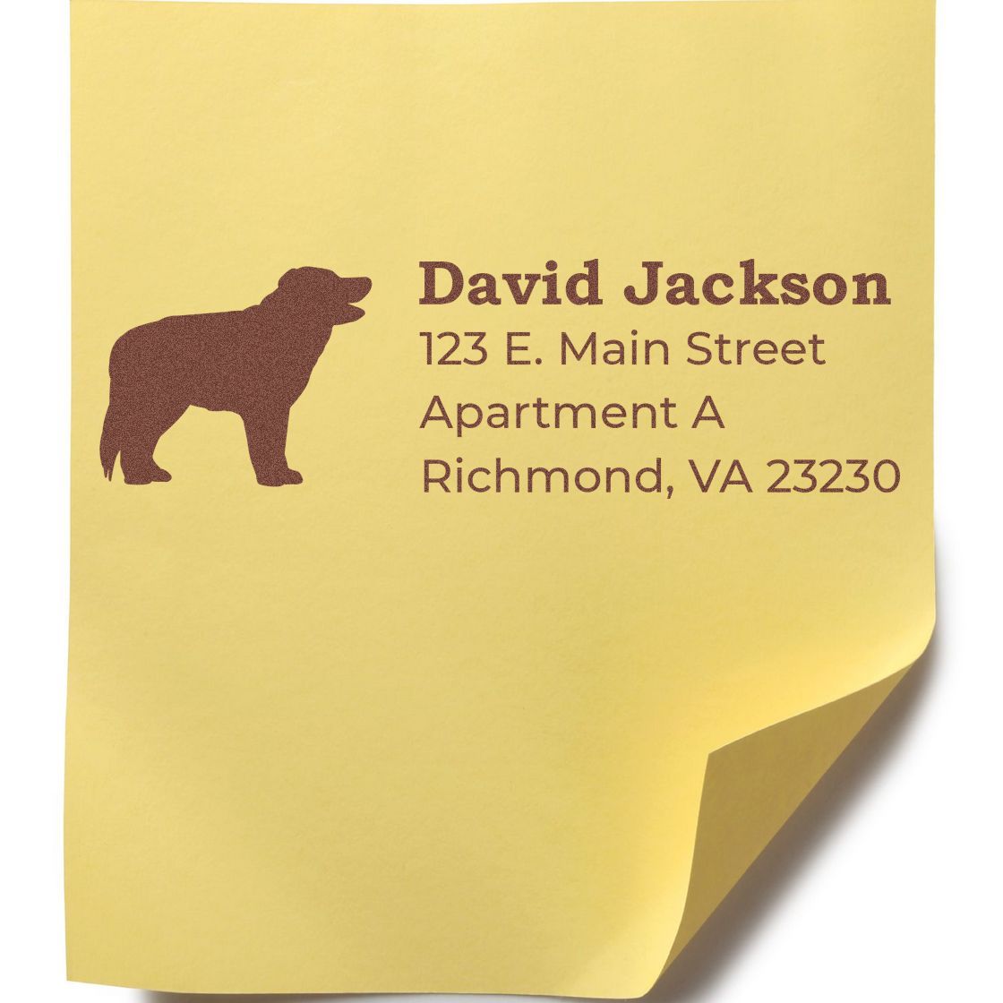 Self-Inking Border Collie Dog Address Stamp on yellow paper, featuring a silhouette of a Border Collie and sample address text in brown ink.