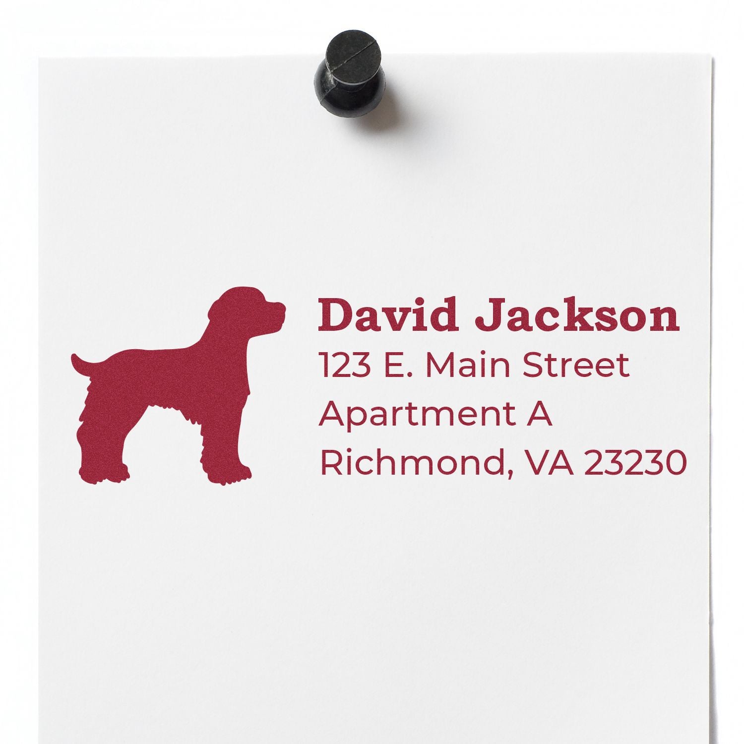 Brittany Spaniel Silhouette Address Rubber Stamp on white paper with red ink, featuring a dog silhouette and sample address text: David Jackson, 123 E. Main Street, Apartment A, Richmond, VA 23230.