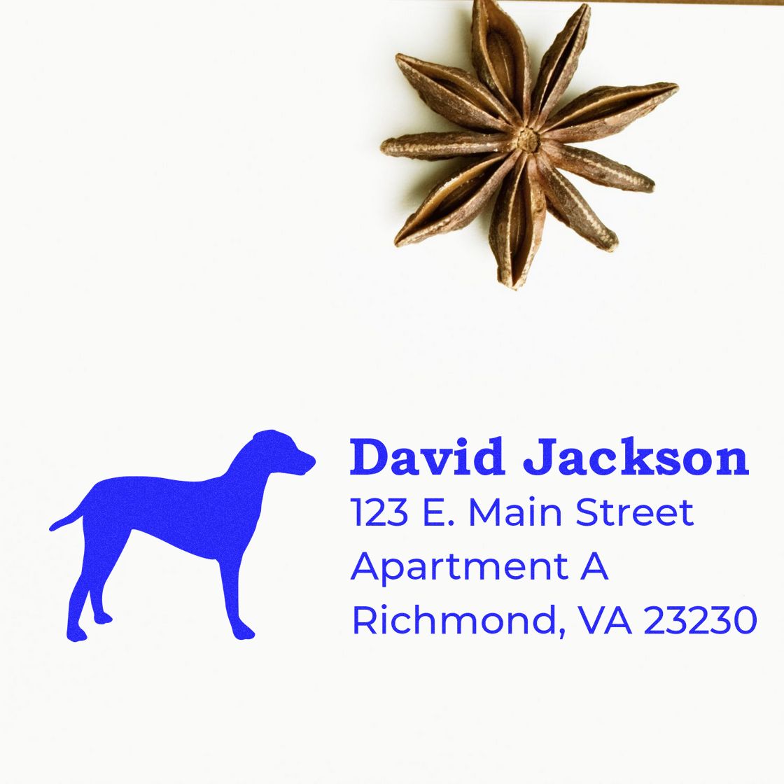 Dalmatian Silhouette Address Rubber Stamp on white paper with blue text: David Jackson, 123 E. Main Street, Apartment A, Richmond, VA 23230. Star anise decorates the corner.